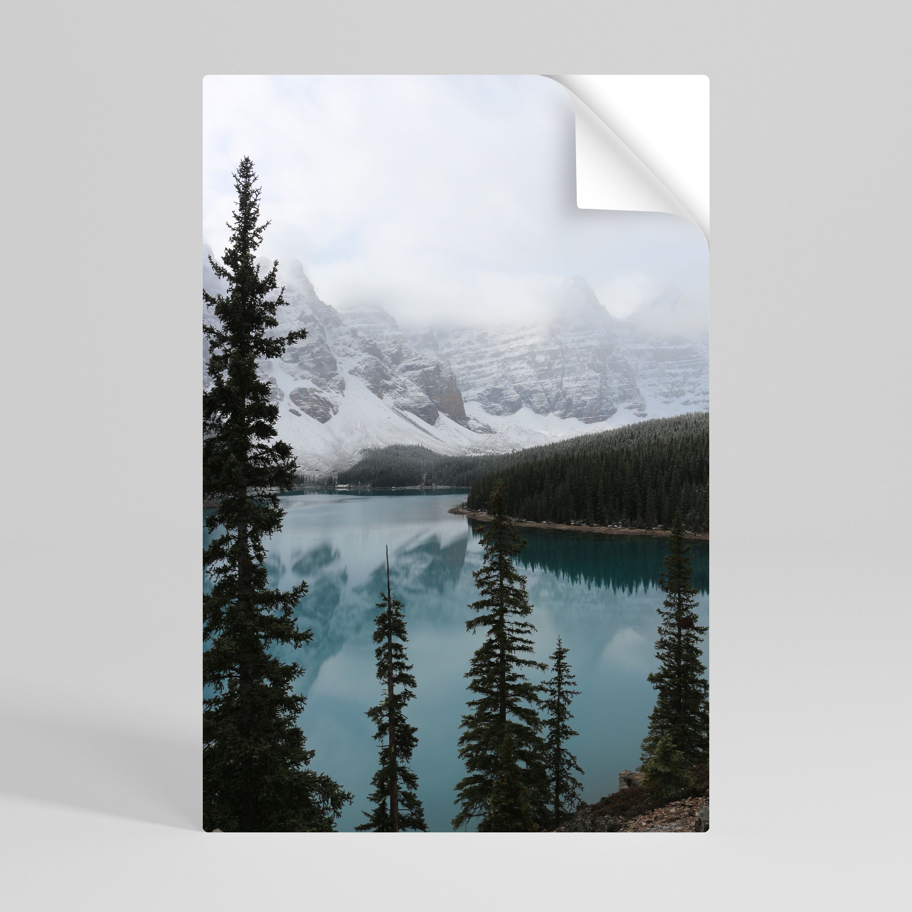 MISTY FOREST BOUNDARIES Naklejka/Plakat pionowy