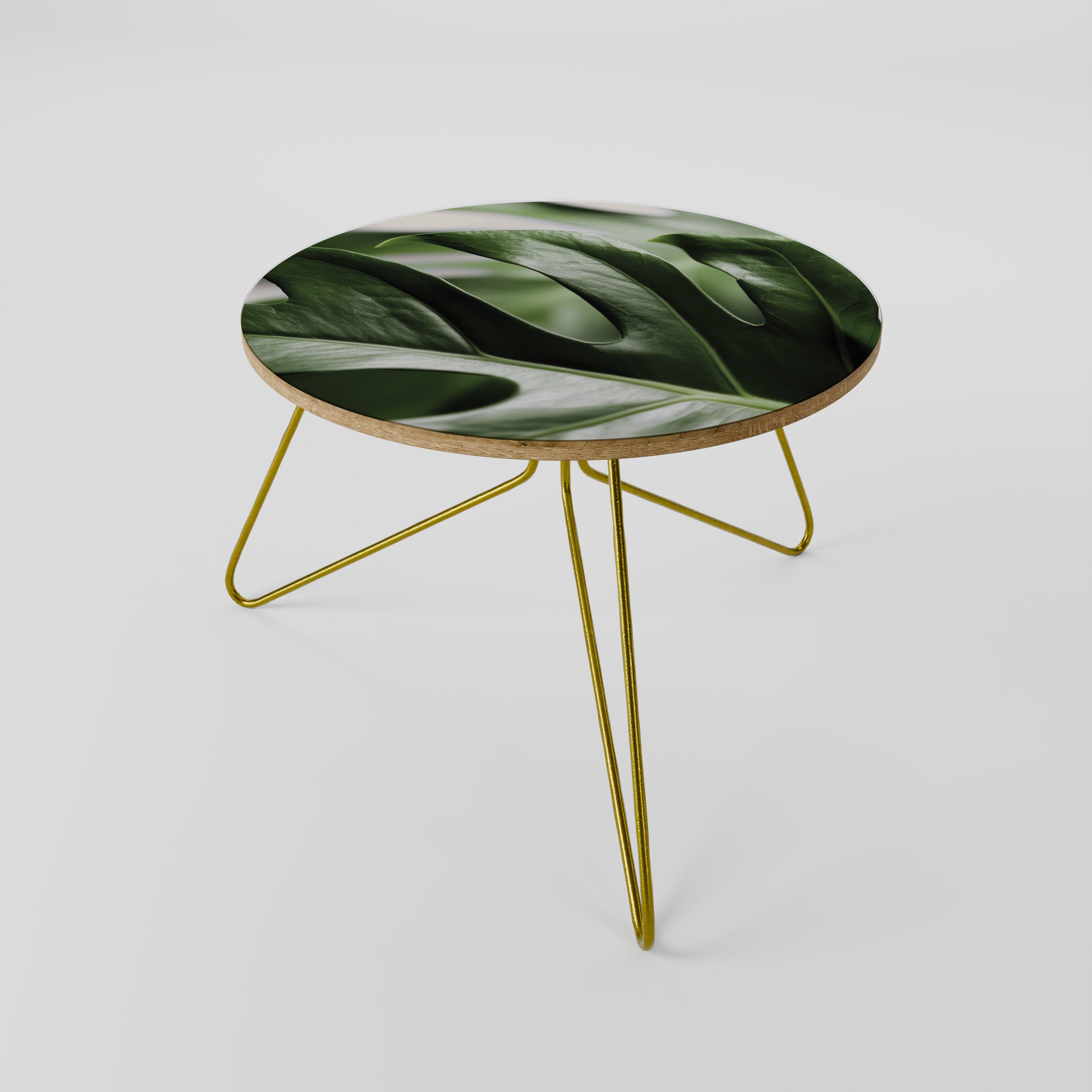 SHARP MONSTERA Stolik kawowy mały