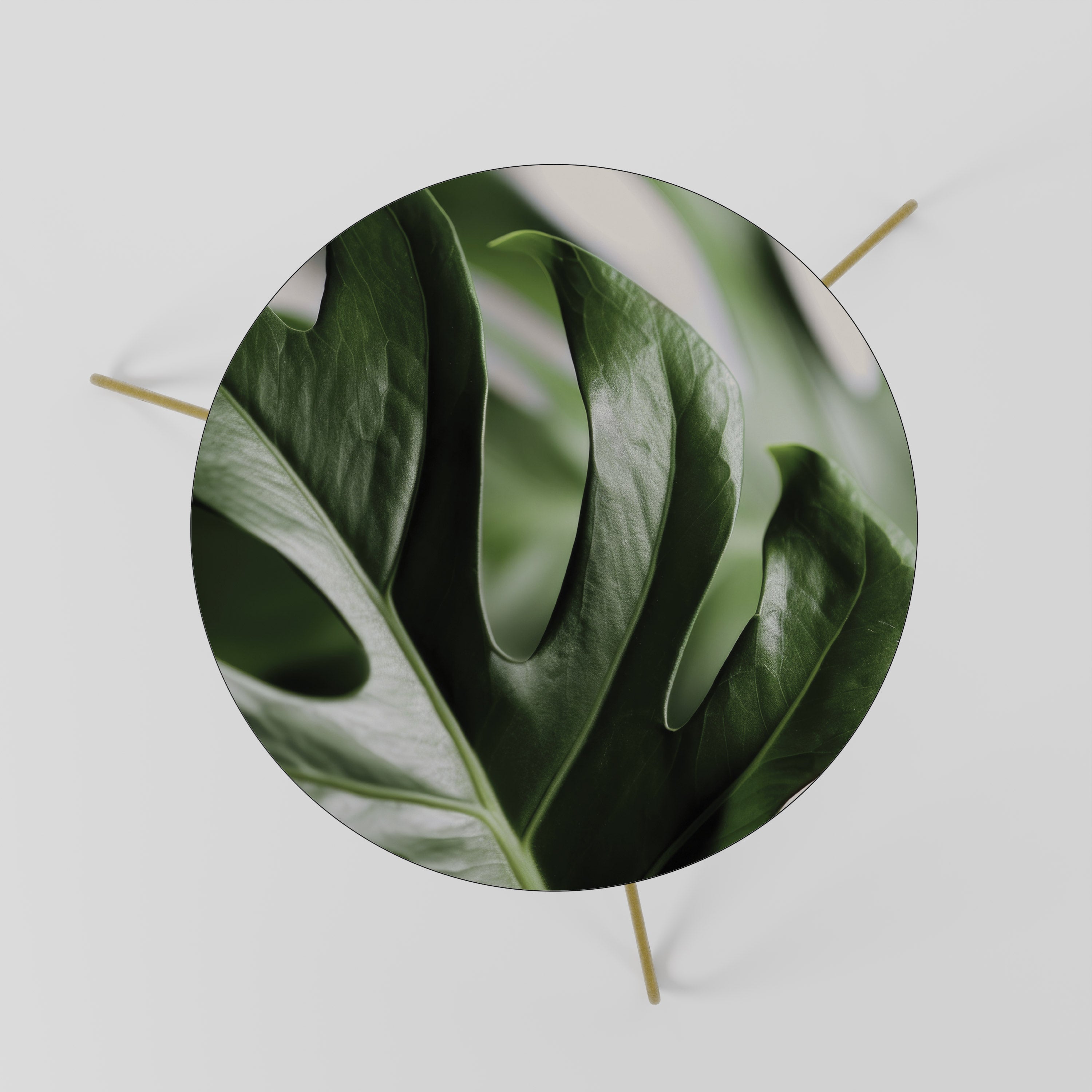 SHARP MONSTERA Stolik kawowy mały