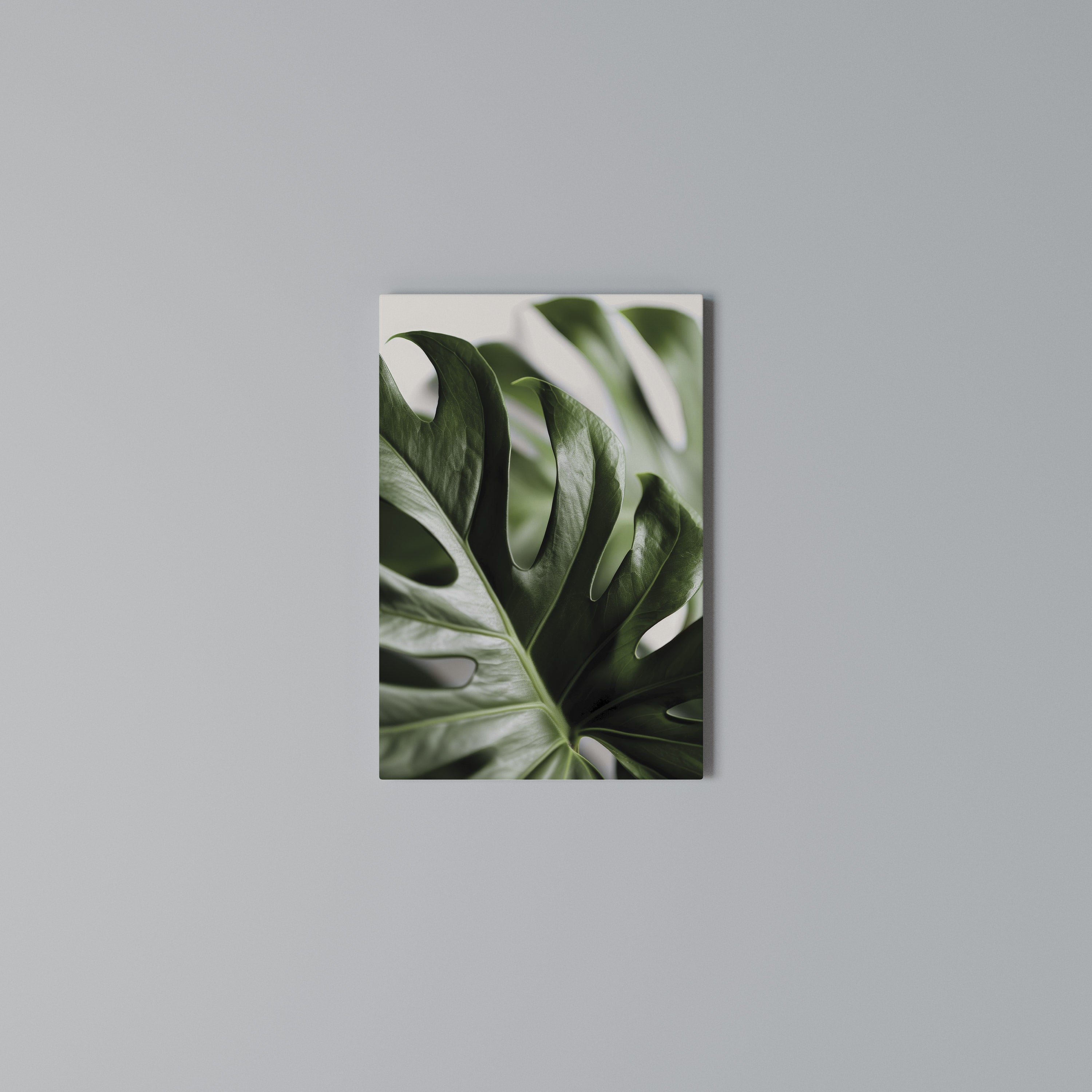 SHARP MONSTERA Pionowy obraz na płótnie