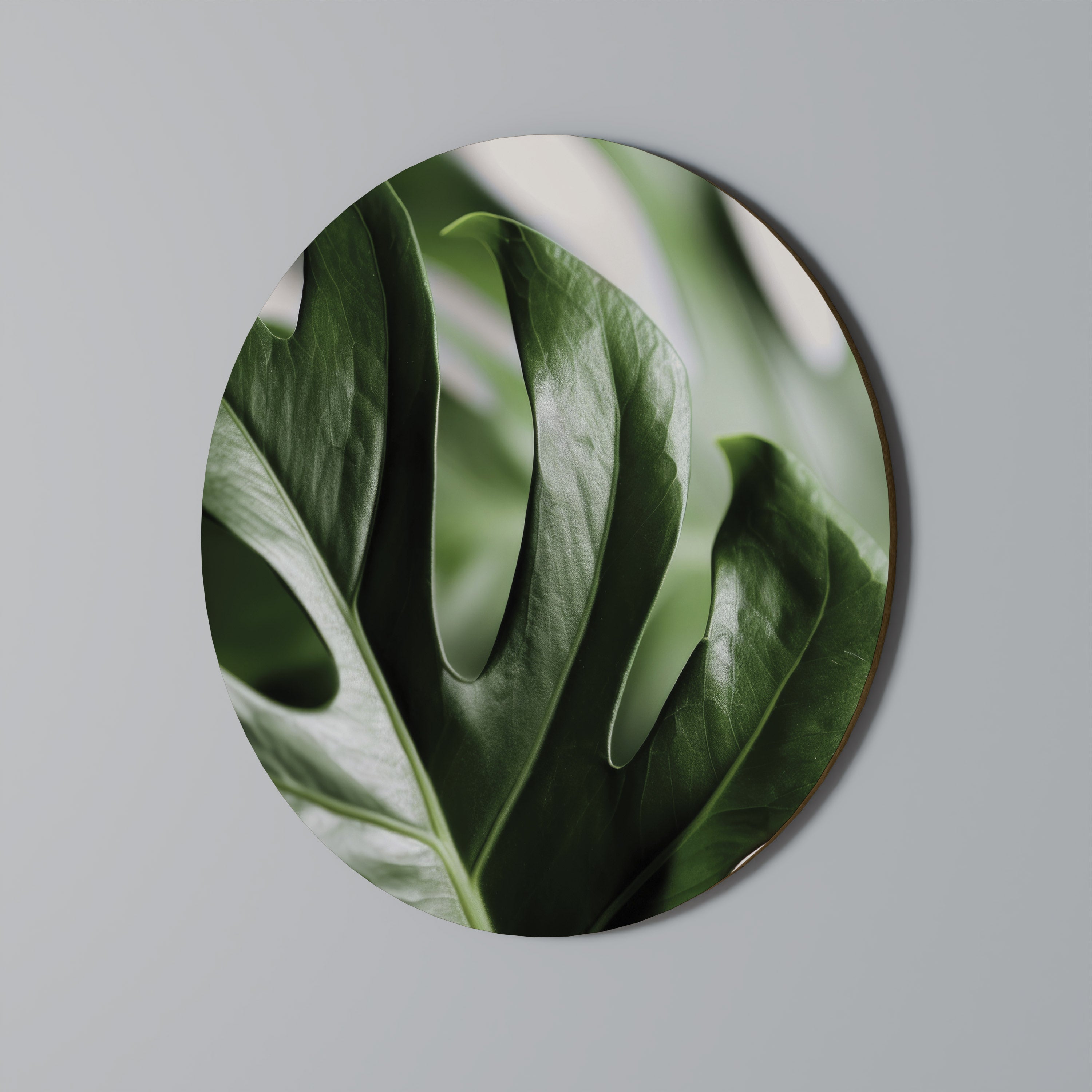 SHARP MONSTERA Obraz okrągły