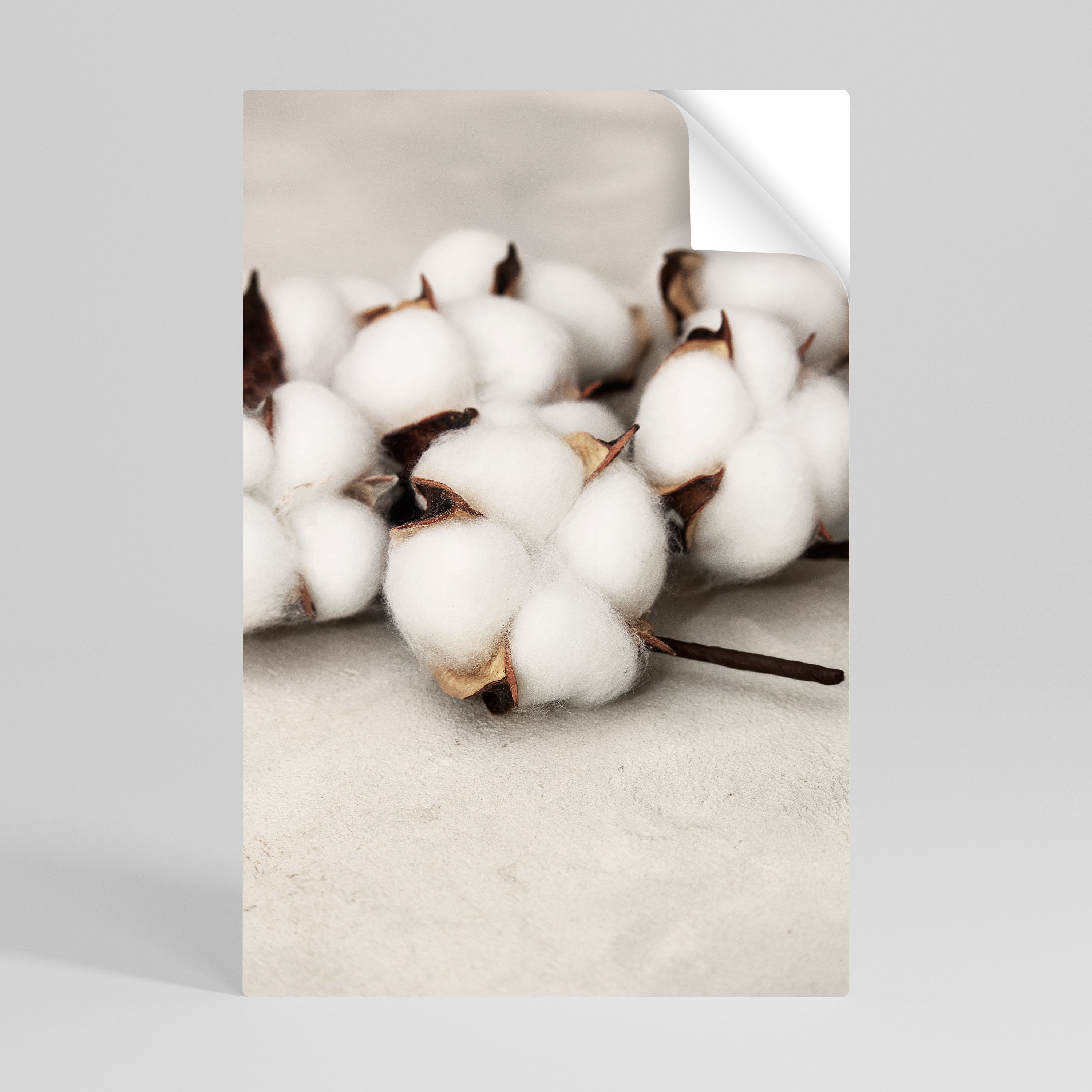 COTTON CLOUDS WHISPERS Naklejka/Plakat pionowy