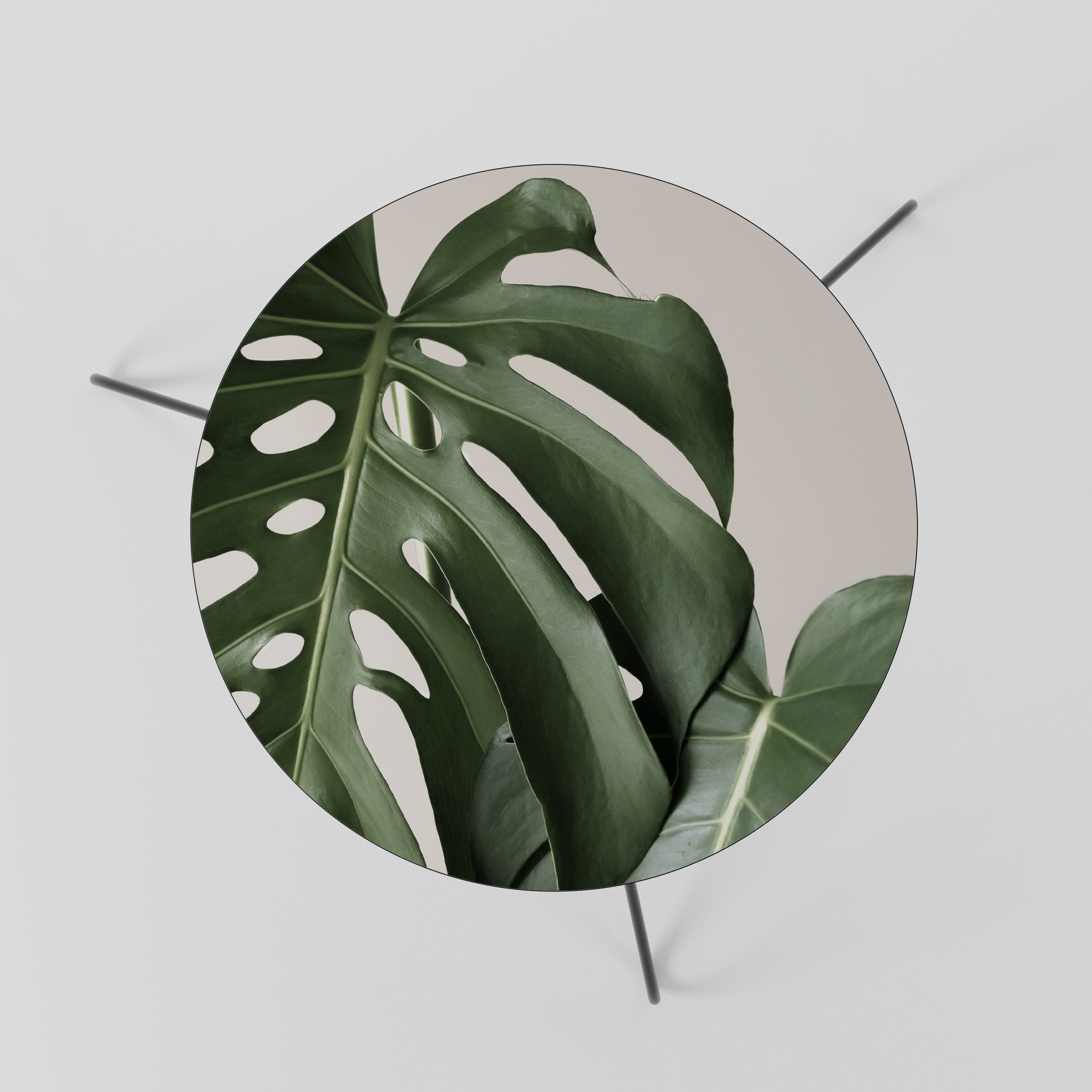 MONSTERA ACCURACY Stolik kawowy mały