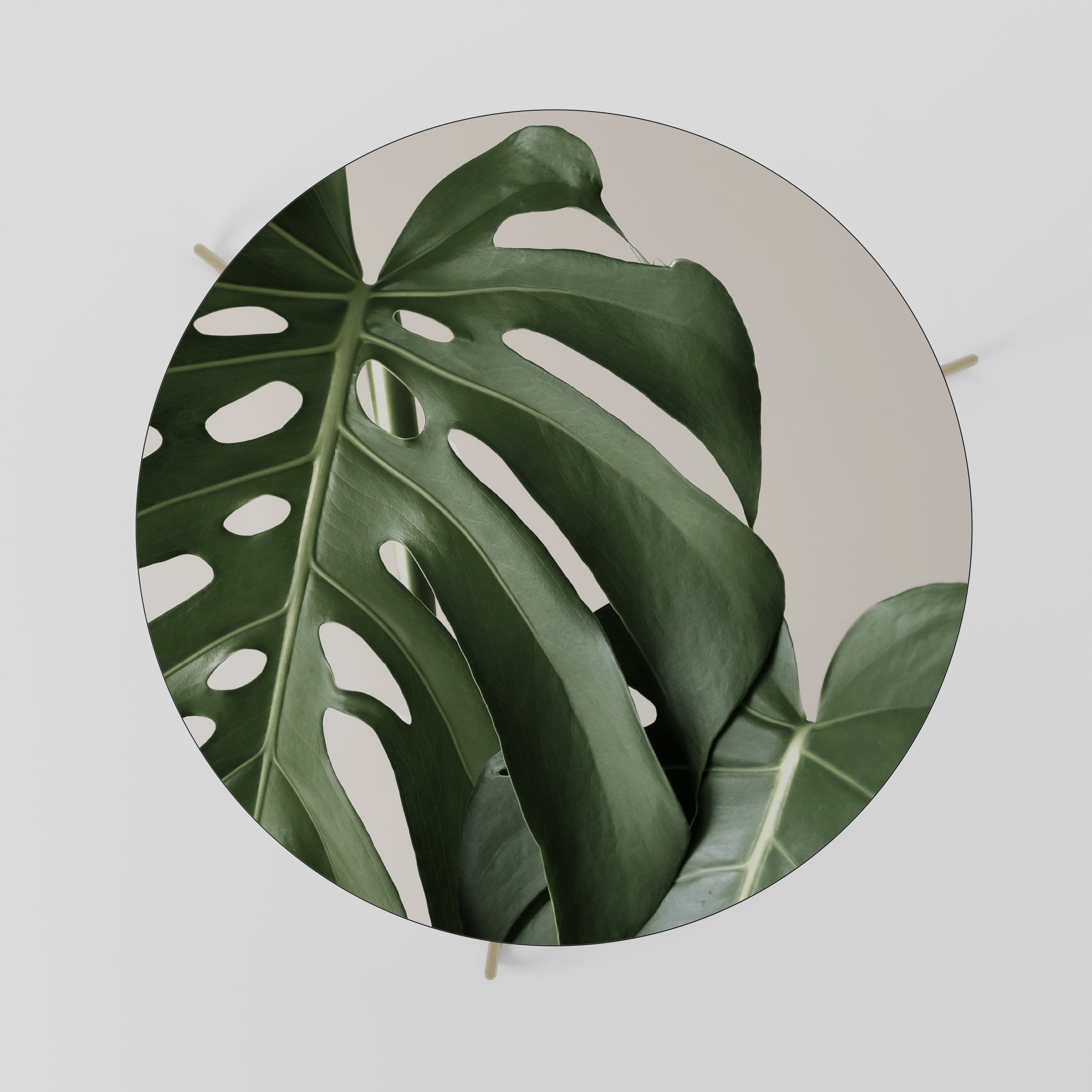 MONSTERA ACCURACY Stolik kawowy duży