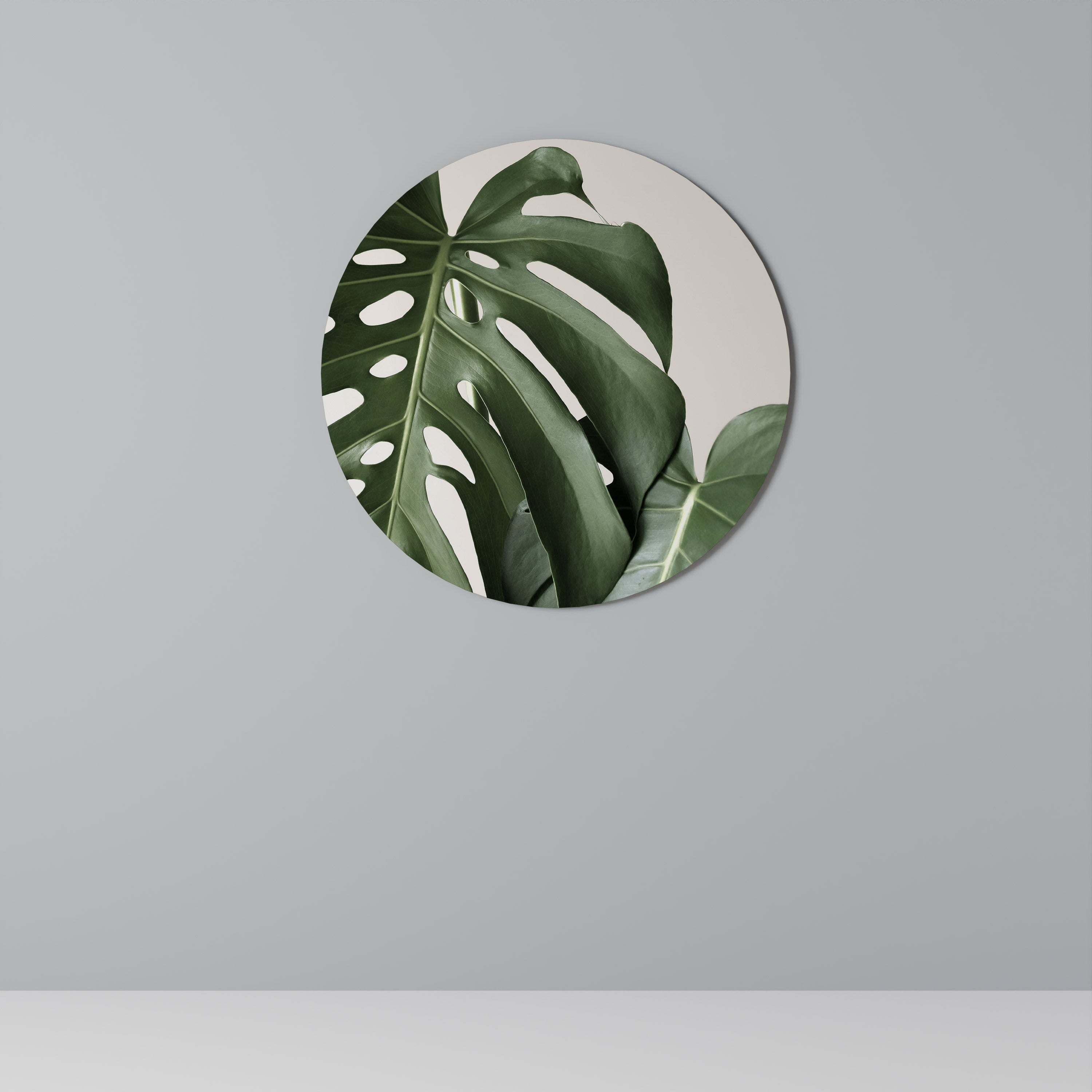 MONSTERA ACCURACY Obraz okrągły