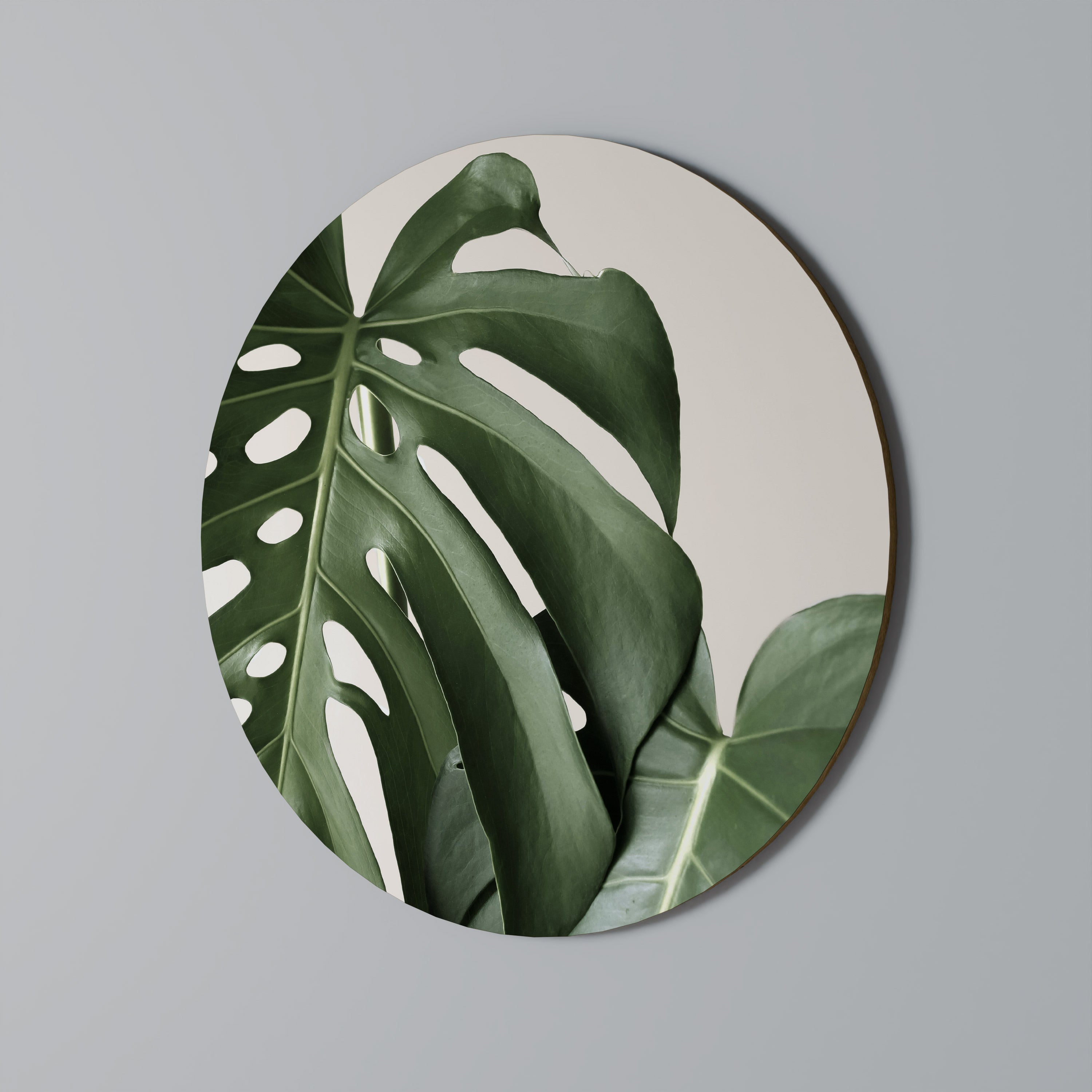 MONSTERA ACCURACY Obraz okrągły