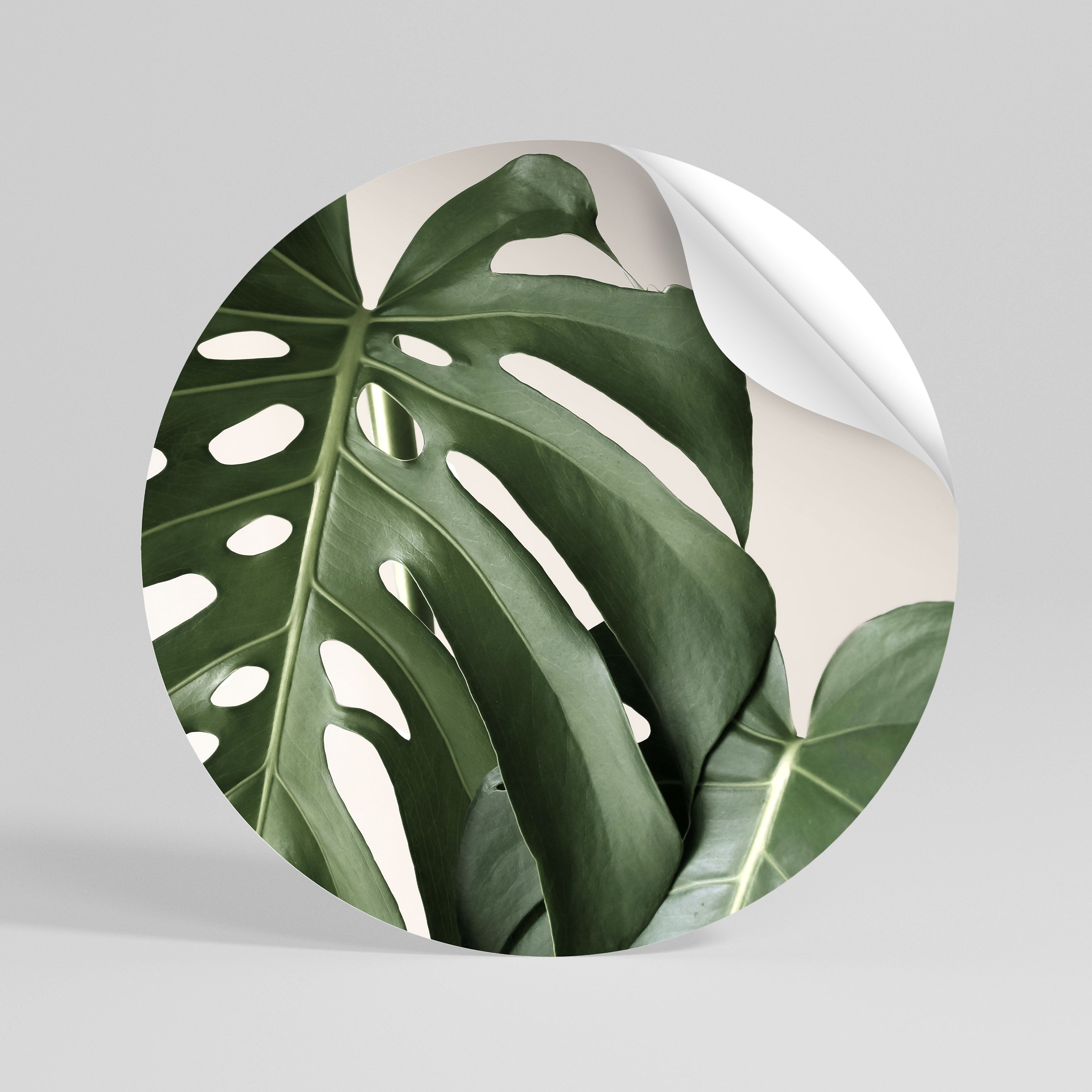 MONSTERA ACCURACY Naklejka - okrągła