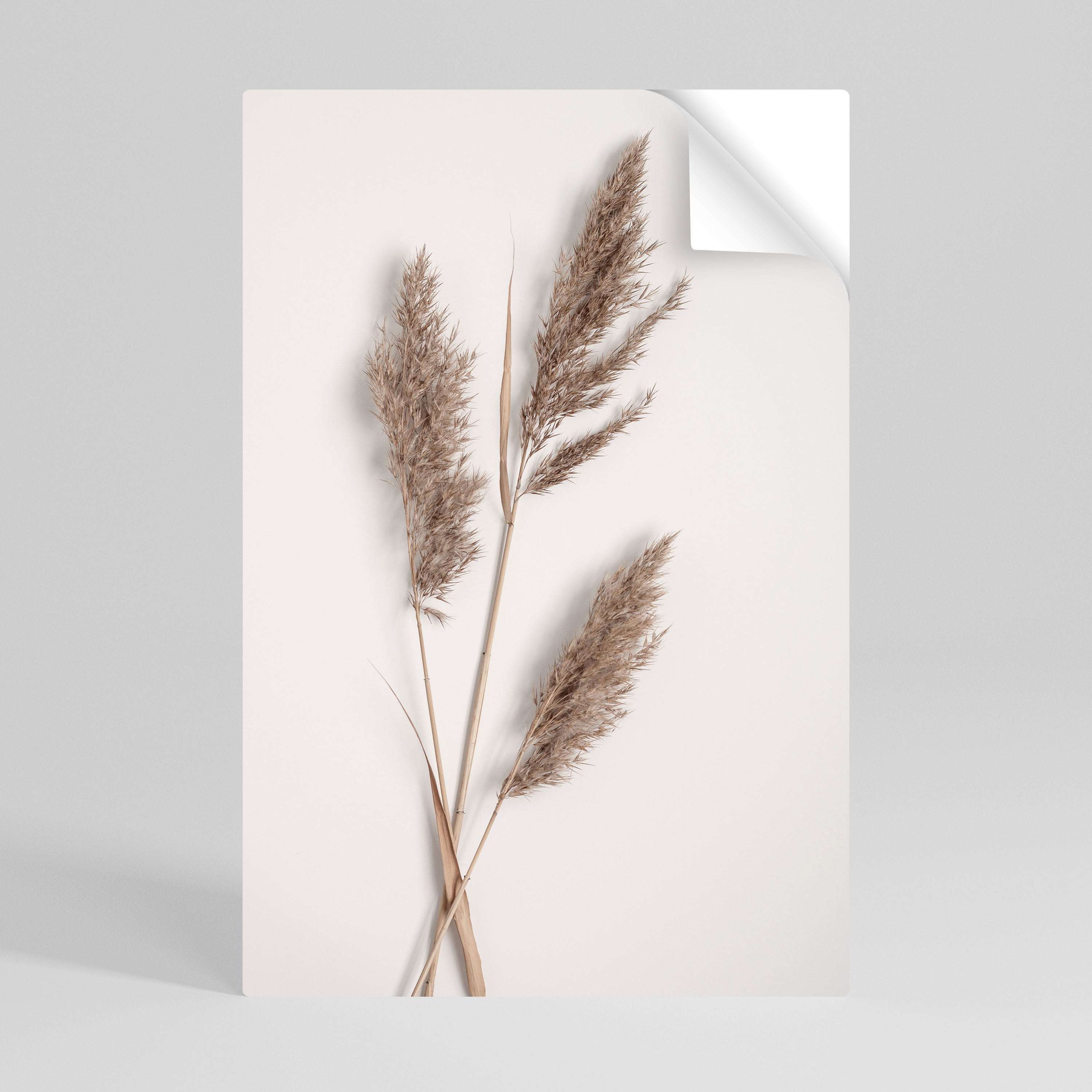 SOFT BREEZE MOMENT Naklejka/Plakat pionowy