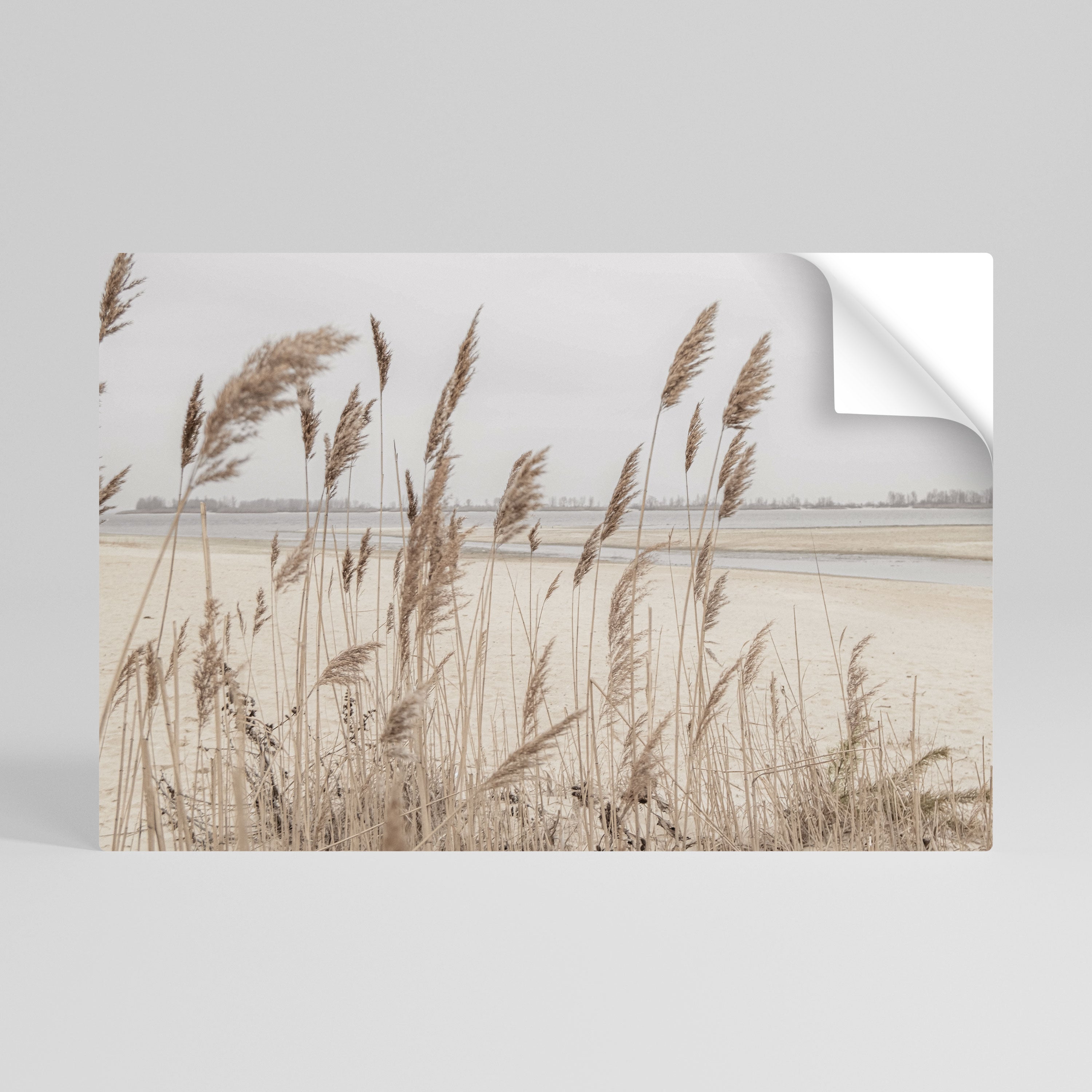 BREEZY STRAW HARMONY Naklejka/Plakat poziomy