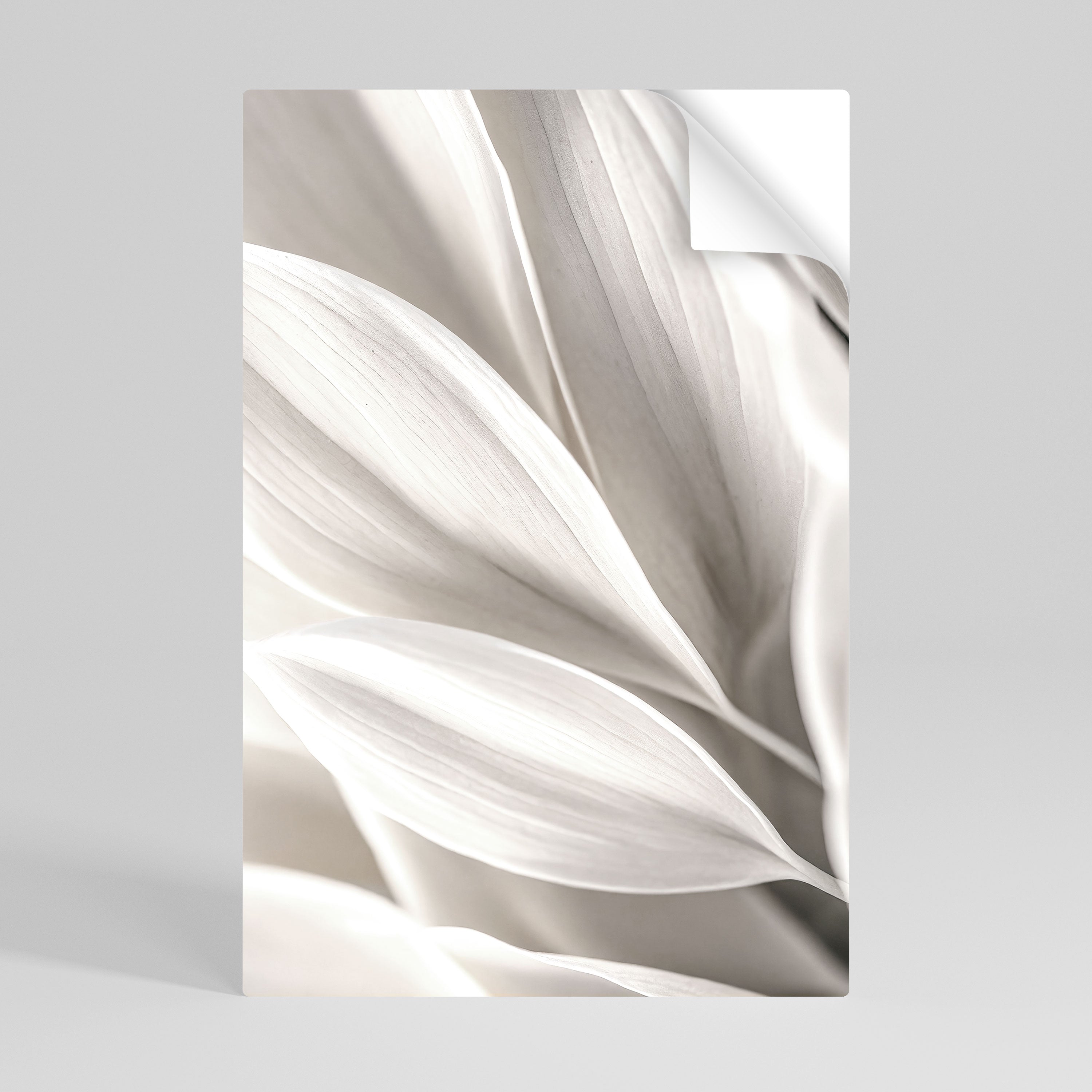WHISPERS OF WHITE Naklejka/Plakat pionowy