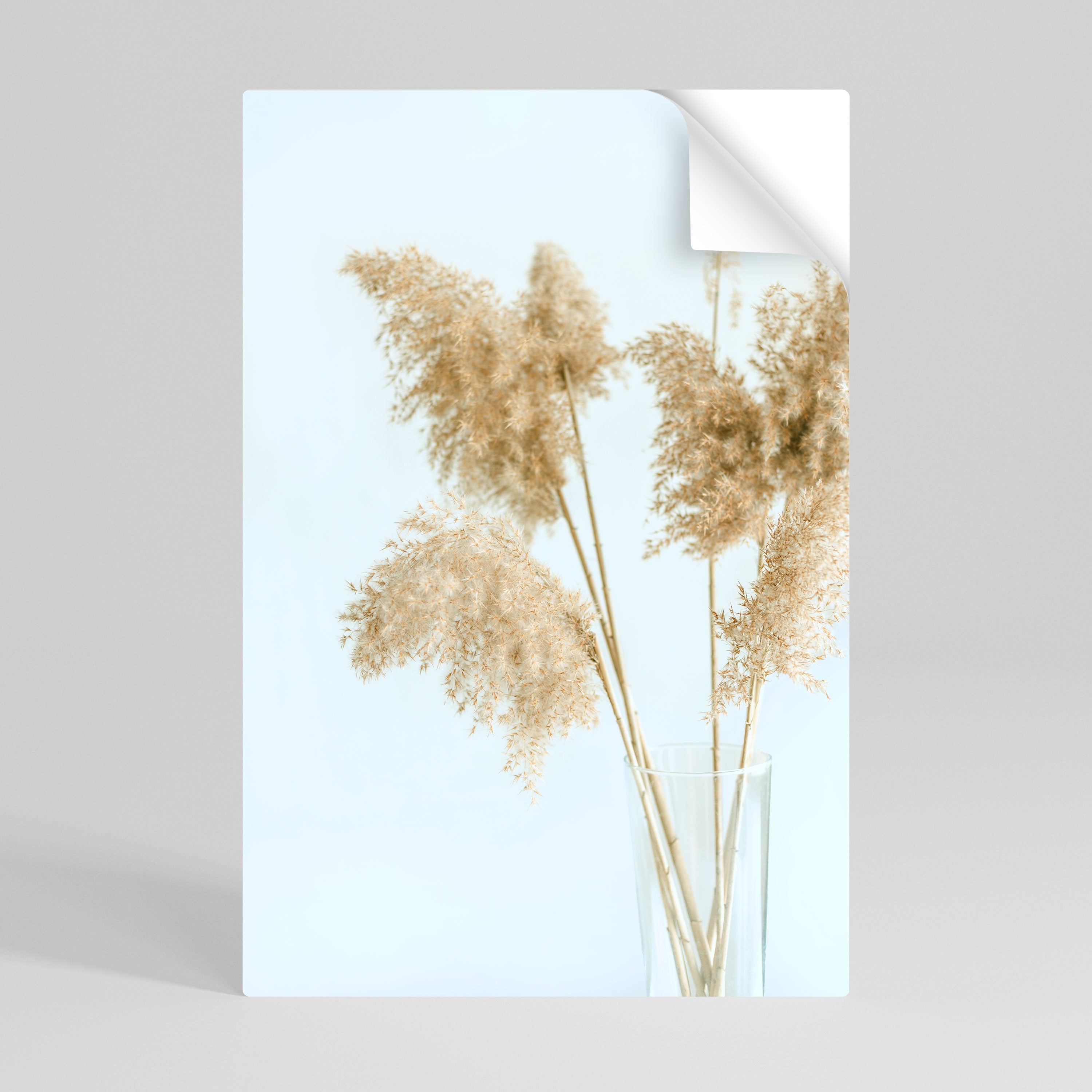 ELEGANT GRASSY SERENITY Naklejka/Plakat pionowy