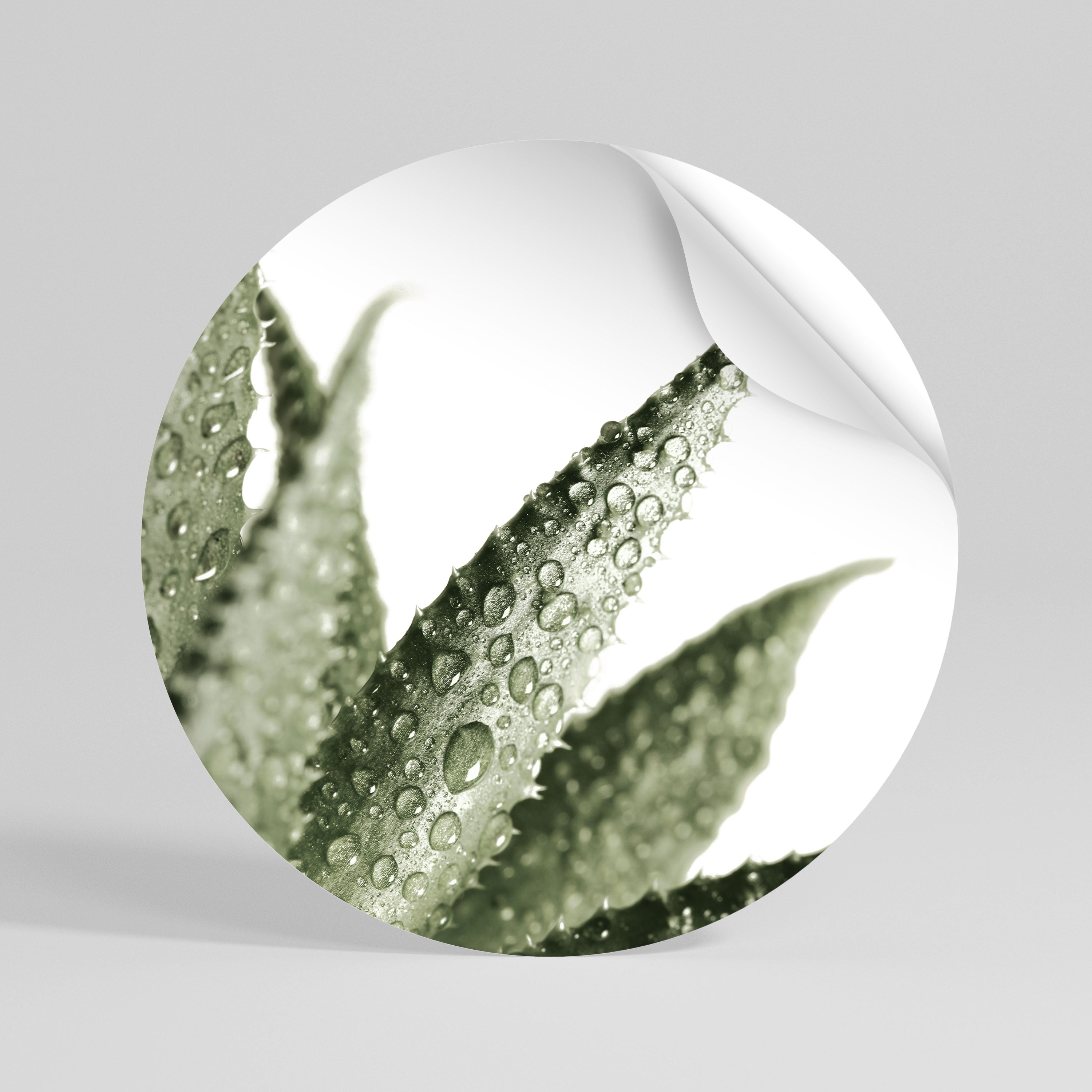 DEWDROP SYMPHONY Naklejka - okrągła