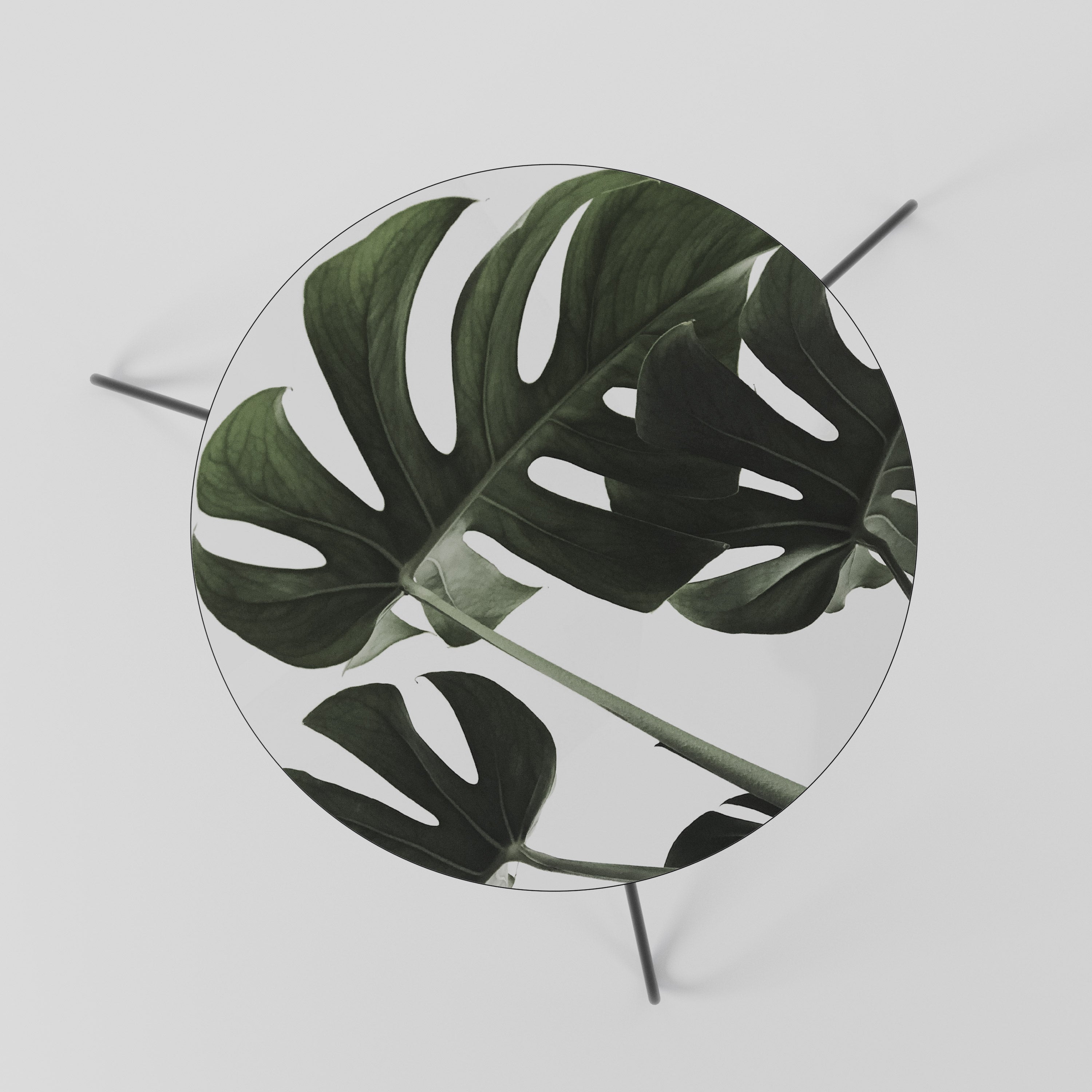 FOLIAGE FUSION Stolik kawowy mały
