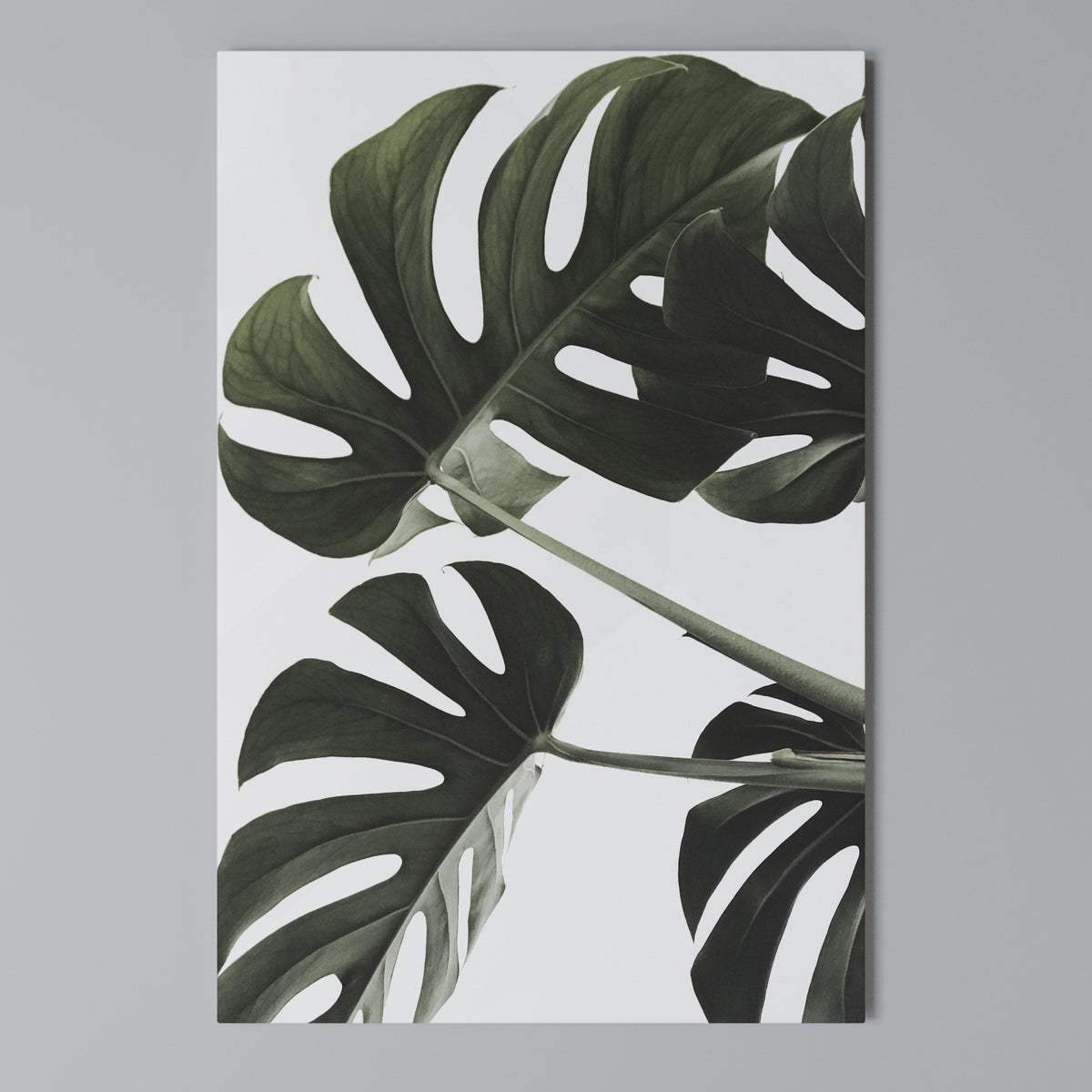 FOLIAGE FUSION Pionowy obraz na płótnie