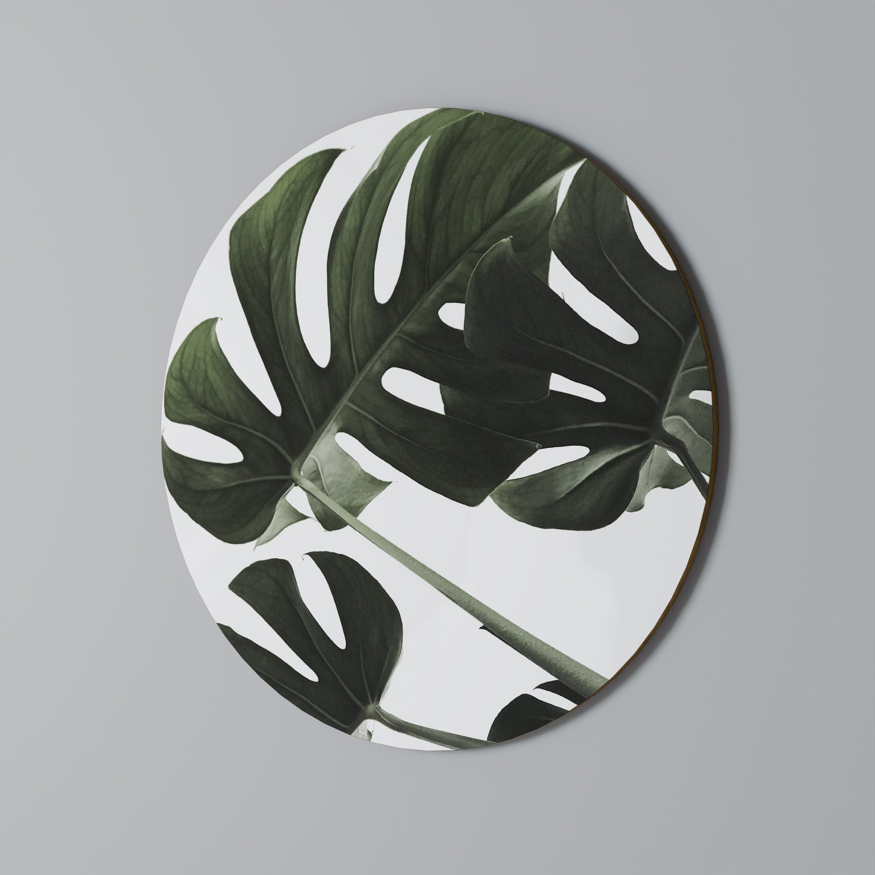 FOLIAGE FUSION Obraz okrągły