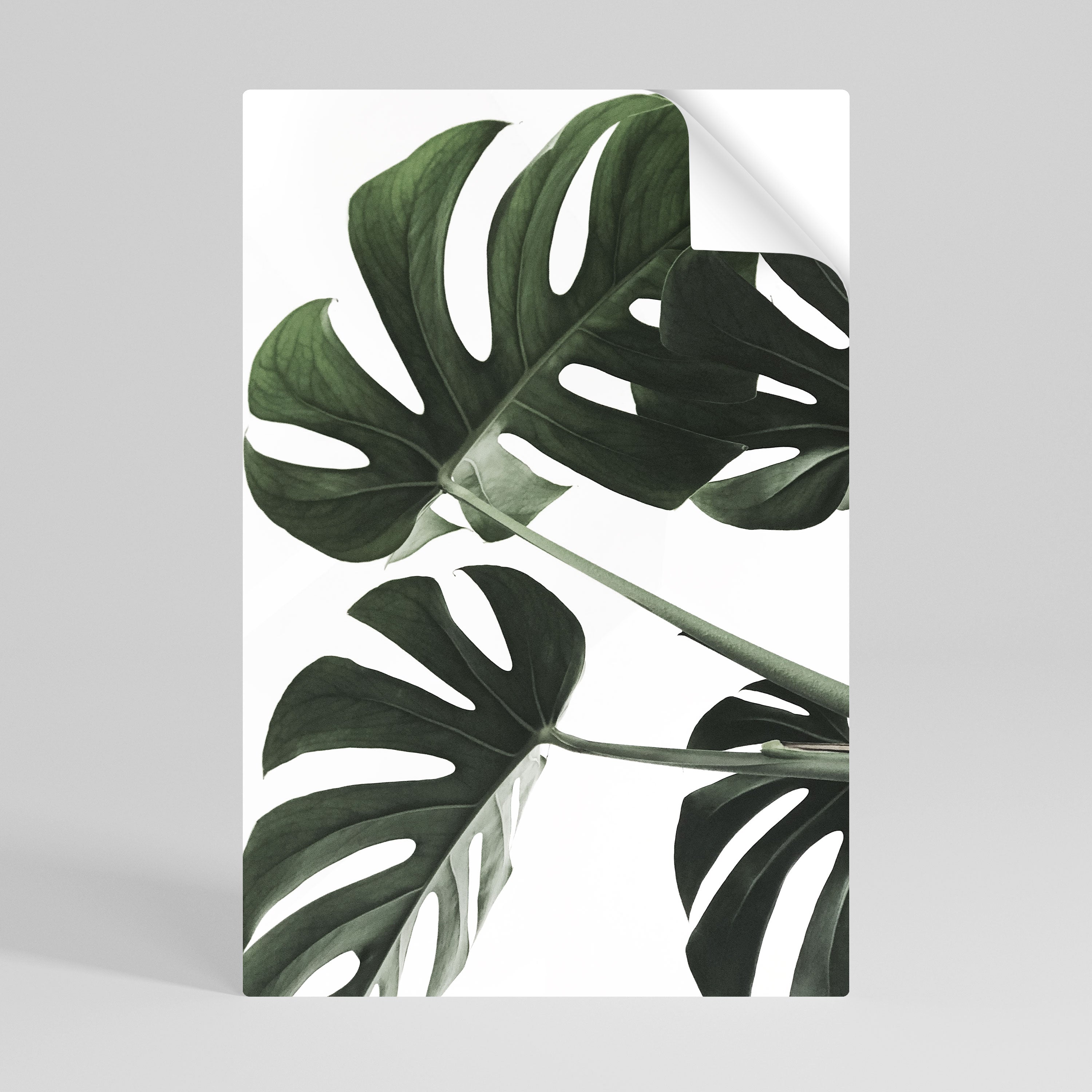 FOLIAGE FUSION Naklejka/Plakat pionowy