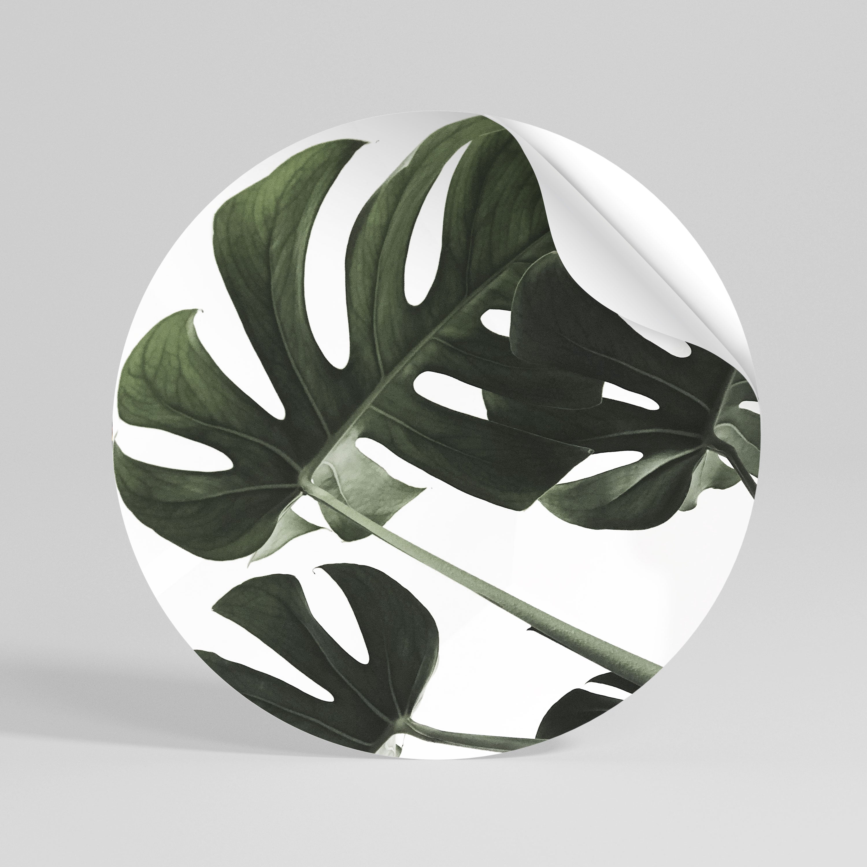 FOLIAGE FUSION Naklejka - okrągła