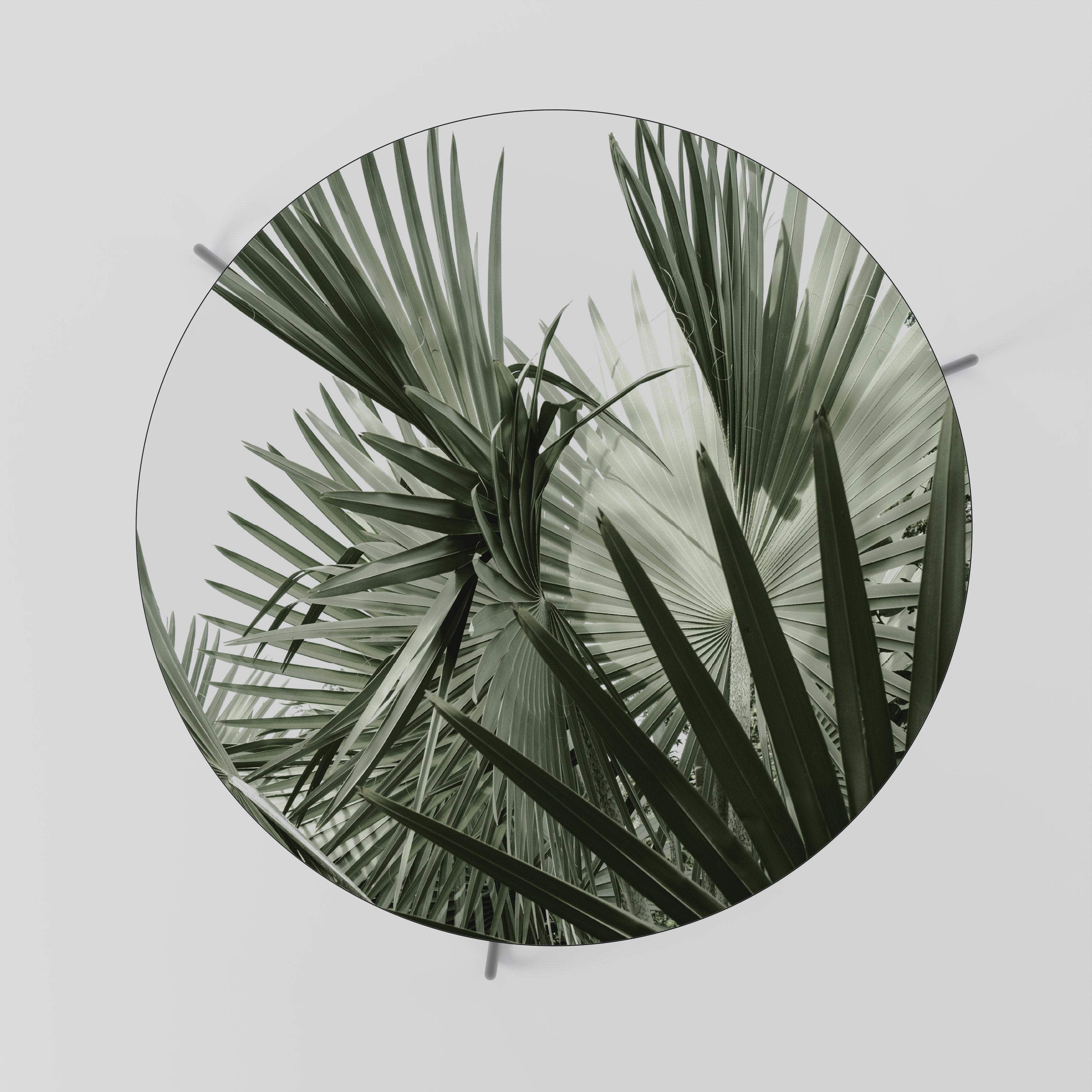 PALM PARADISE DANCE Stolik kawowy duży