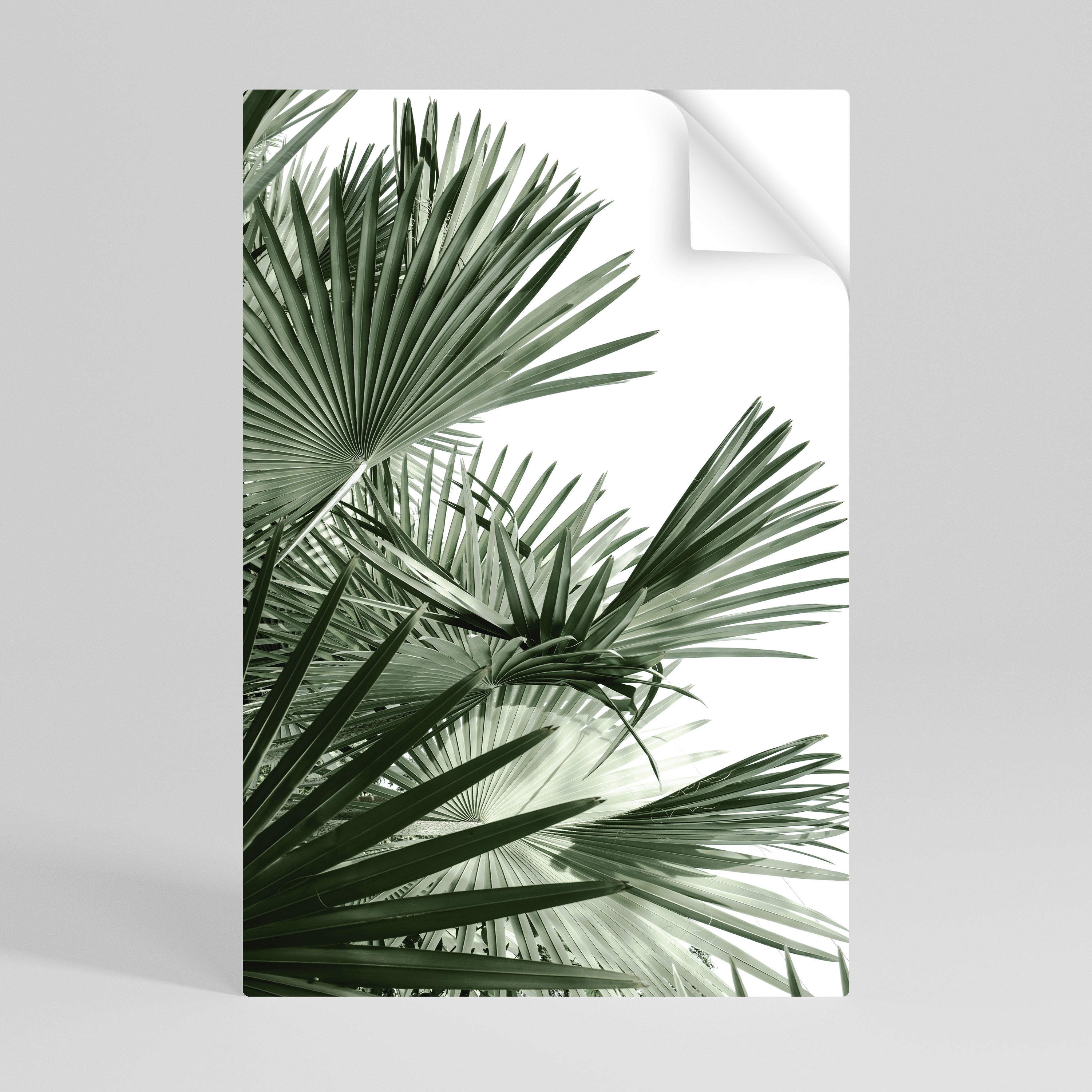PALM PARADISE DANCE Naklejka/Plakat pionowy