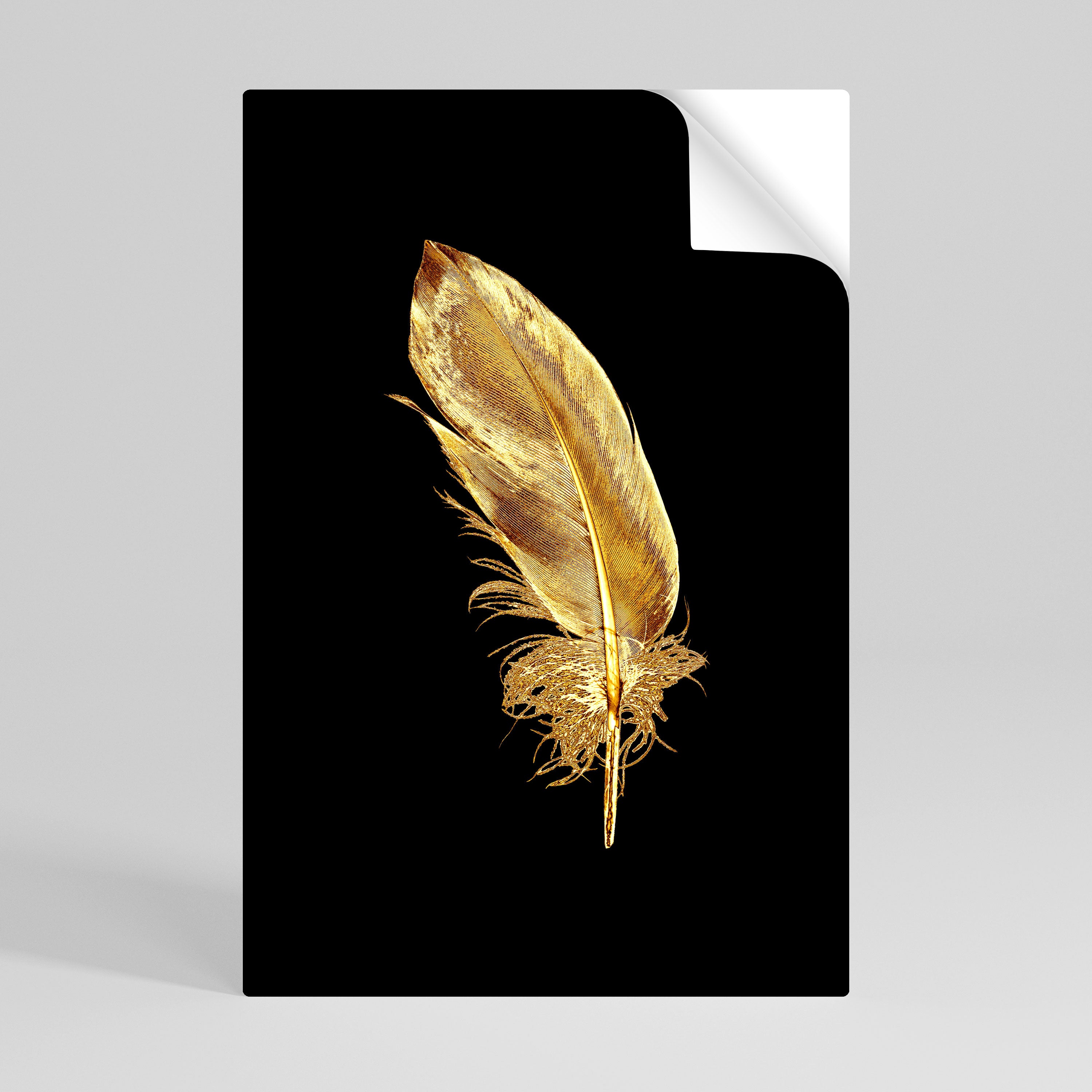 SHIMMERING FEATHER GRACE Naklejka/Plakat pionowy