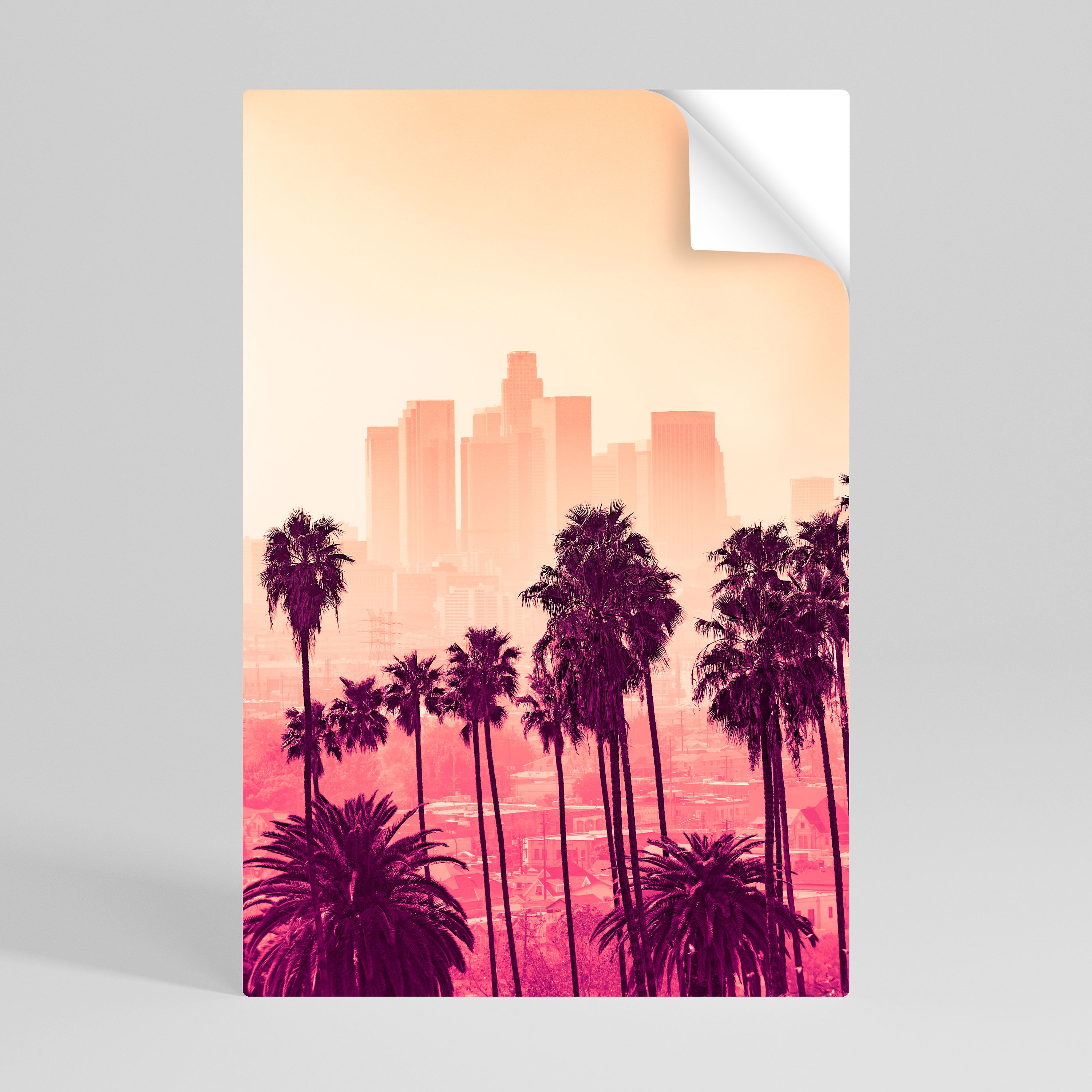 PALM SHADE DREAMSCAPE Naklejka/Plakat pionowy