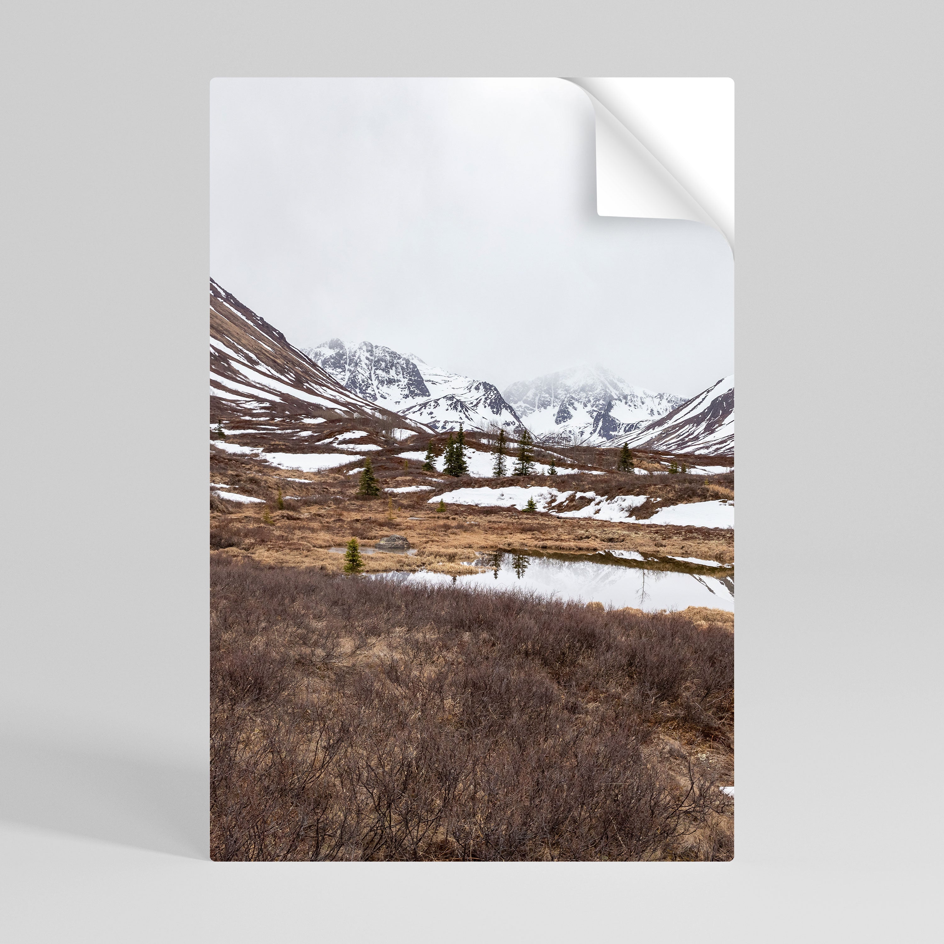 ECHOES OF WINTER Naklejka/Plakat pionowy