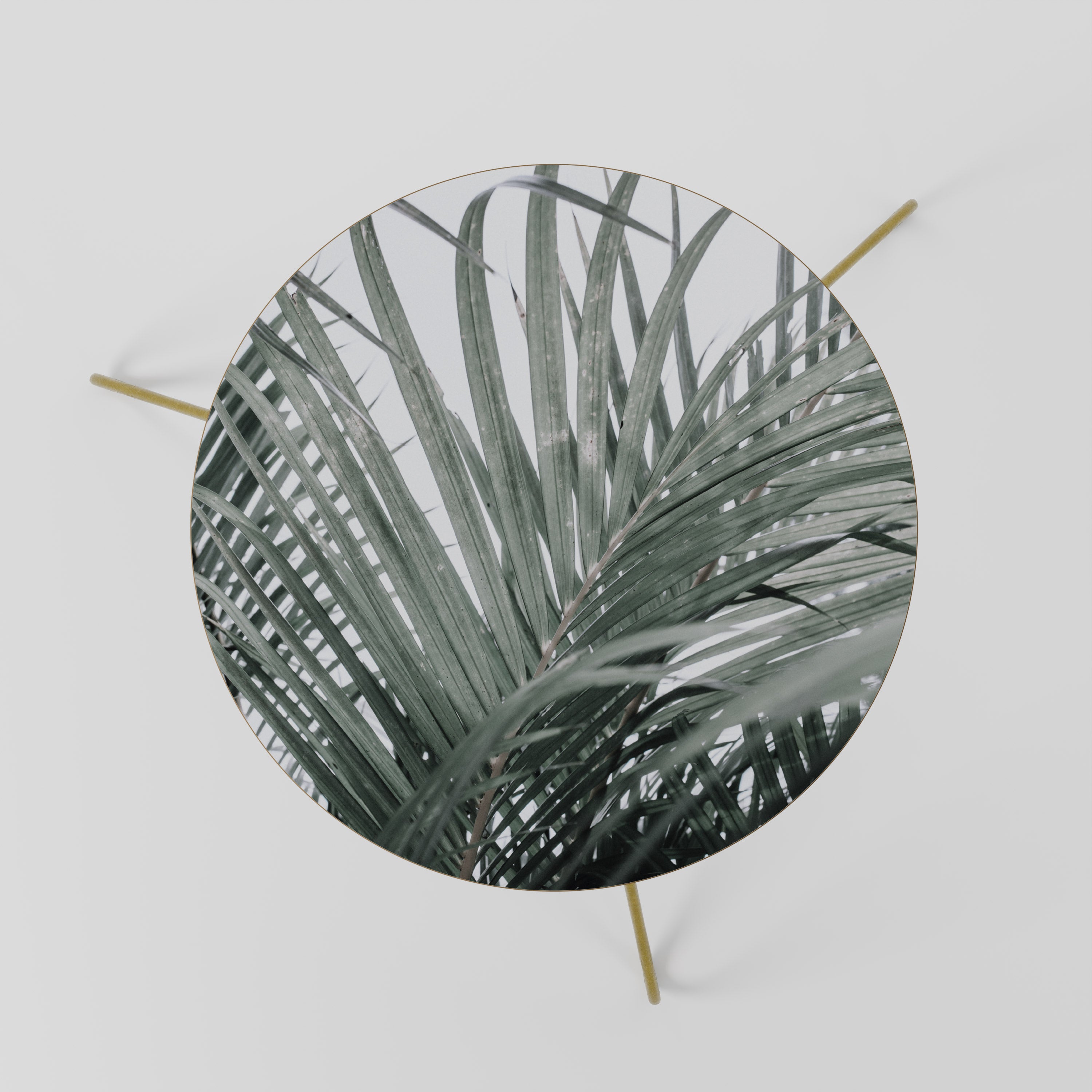 PALM WHISPERS Stolik kawowy mały