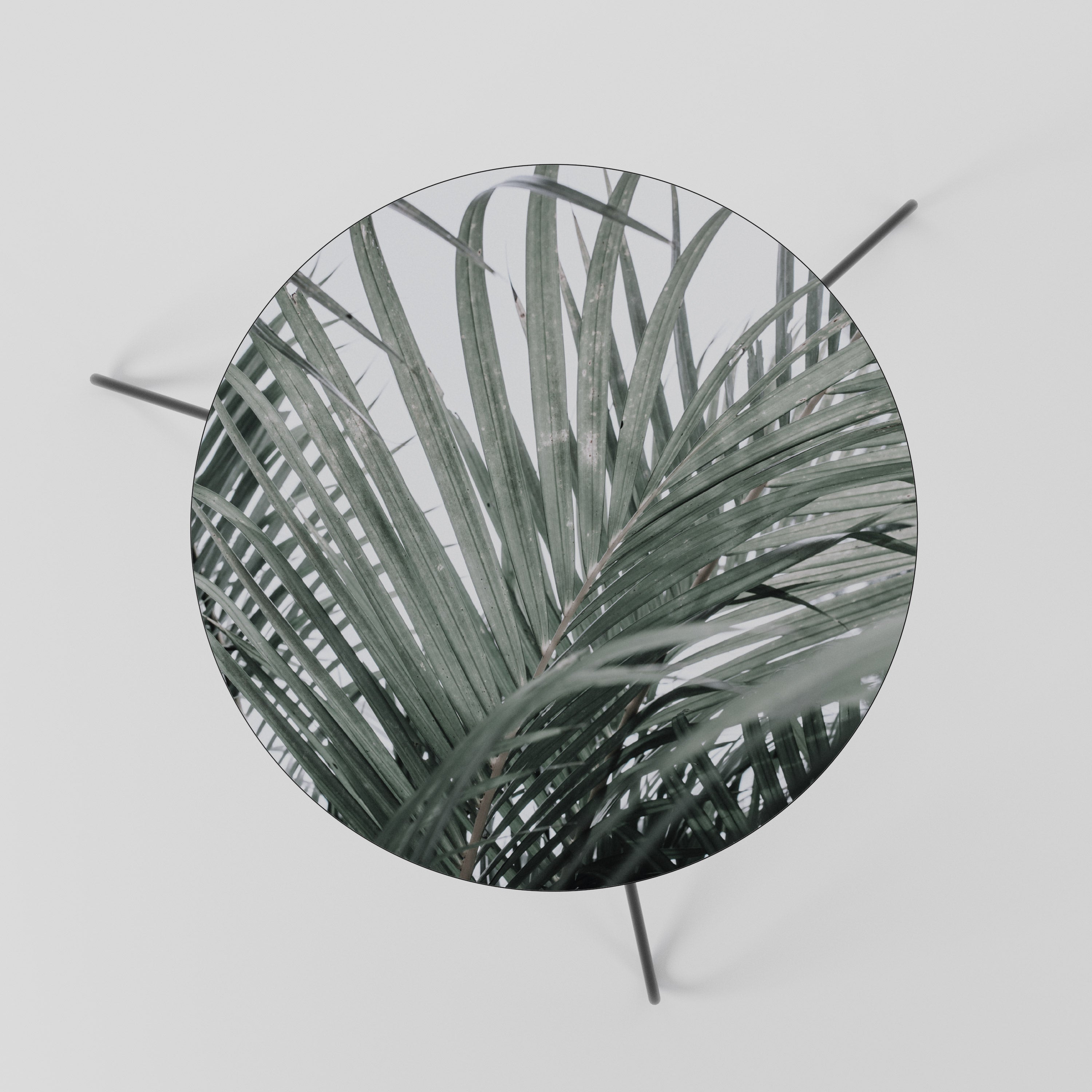 PALM WHISPERS Stolik kawowy mały