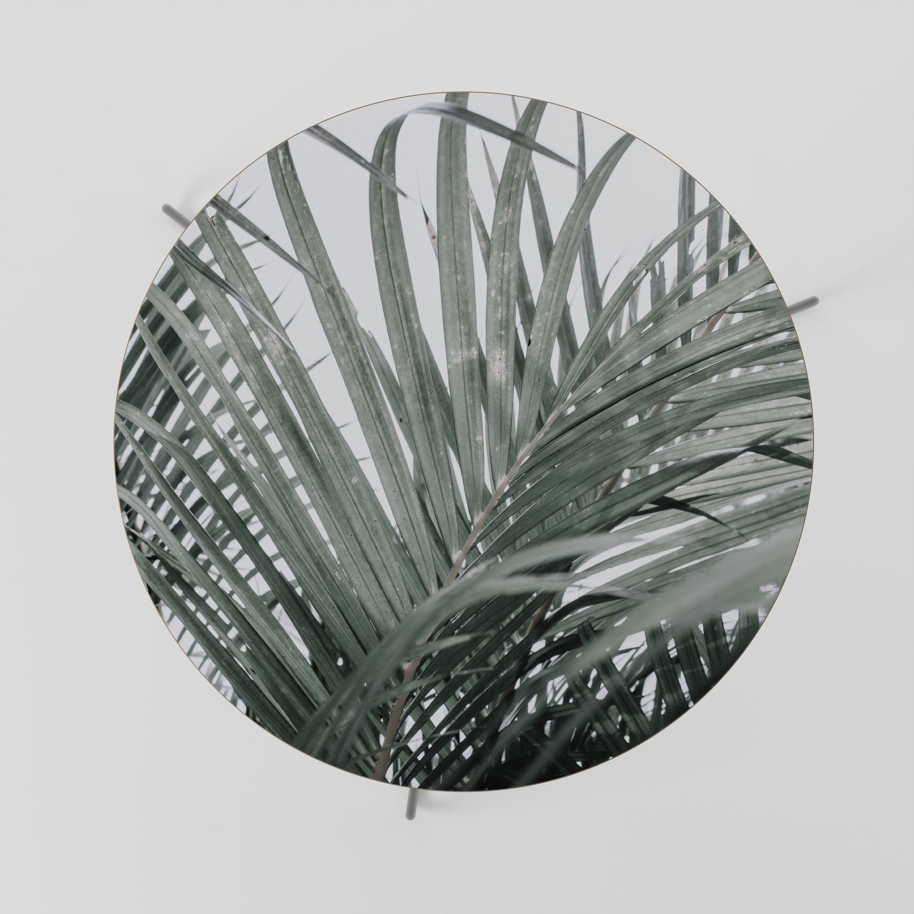 PALM WHISPERS Stolik kawowy duży