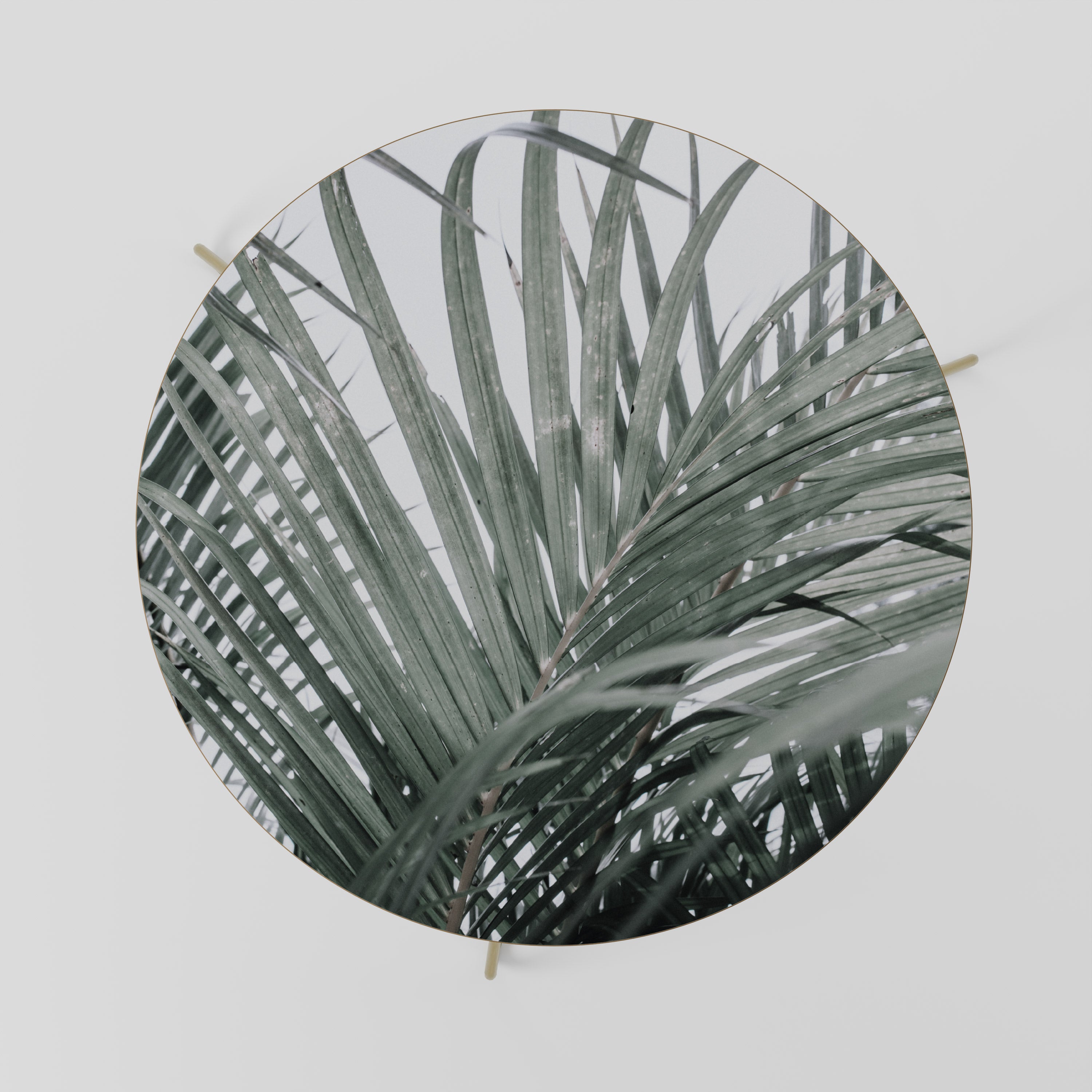 PALM WHISPERS Stolik kawowy duży