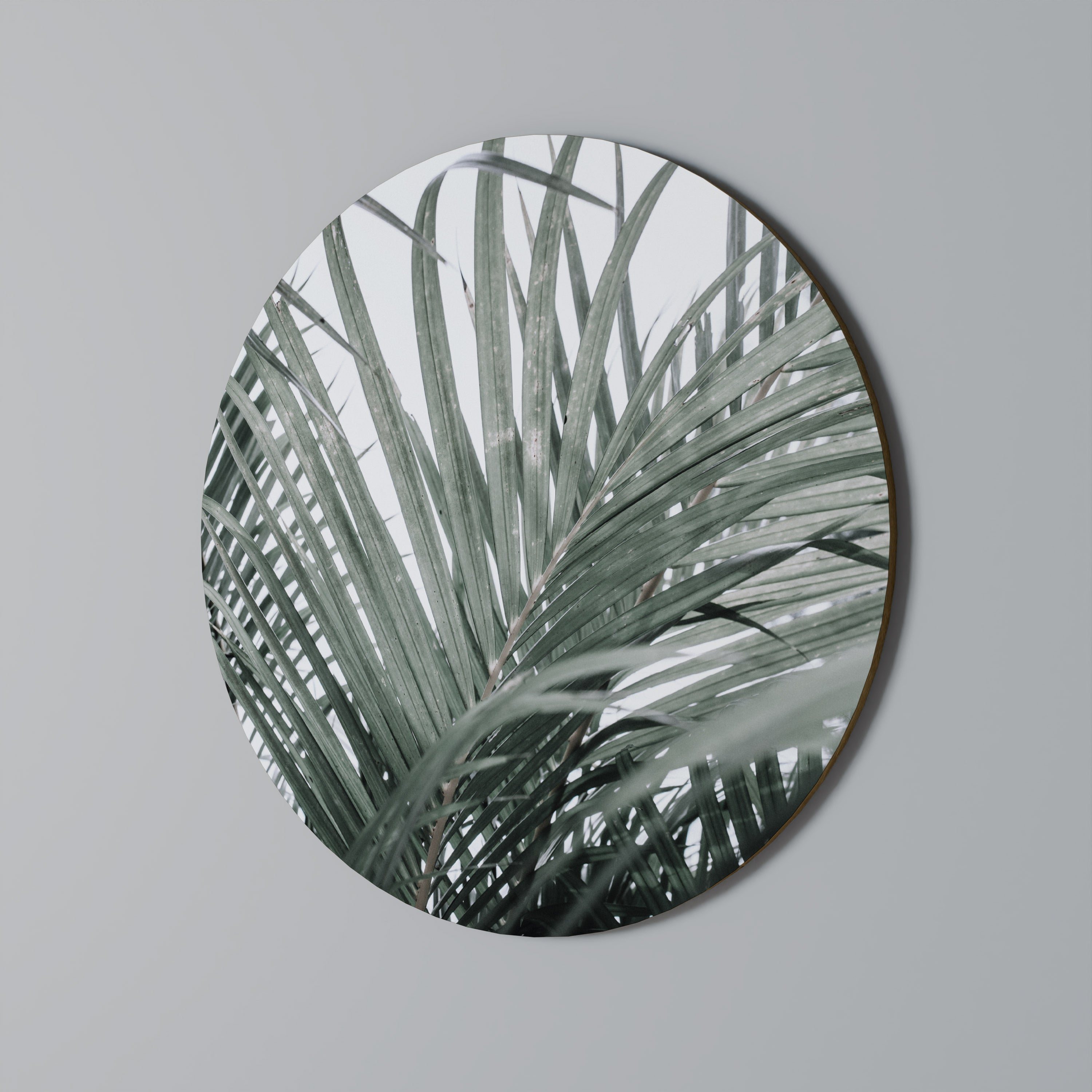 PALM WHISPERS Obraz okrągły