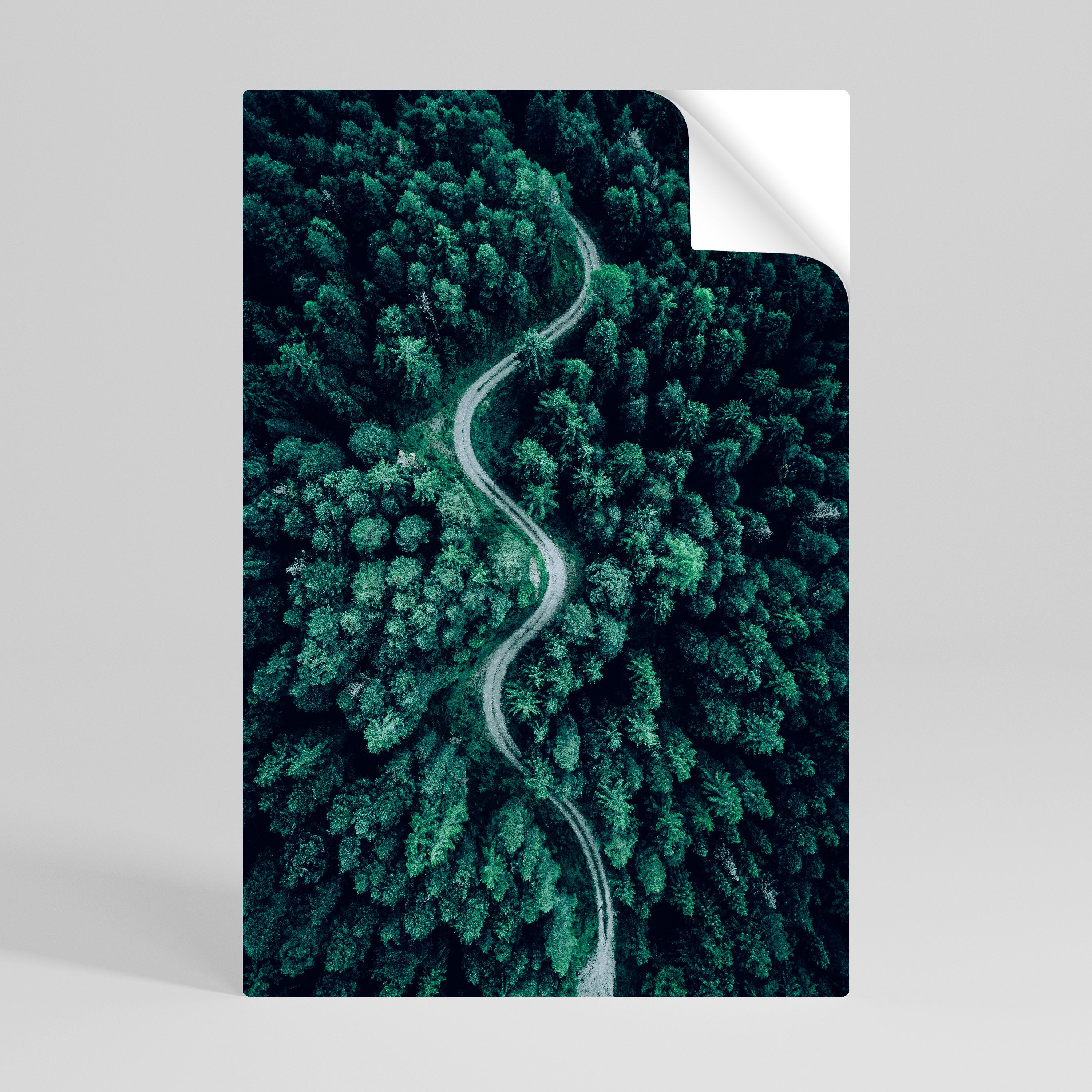 FORESTED SERPENTINE ROUTE Naklejka/Plakat pionowy