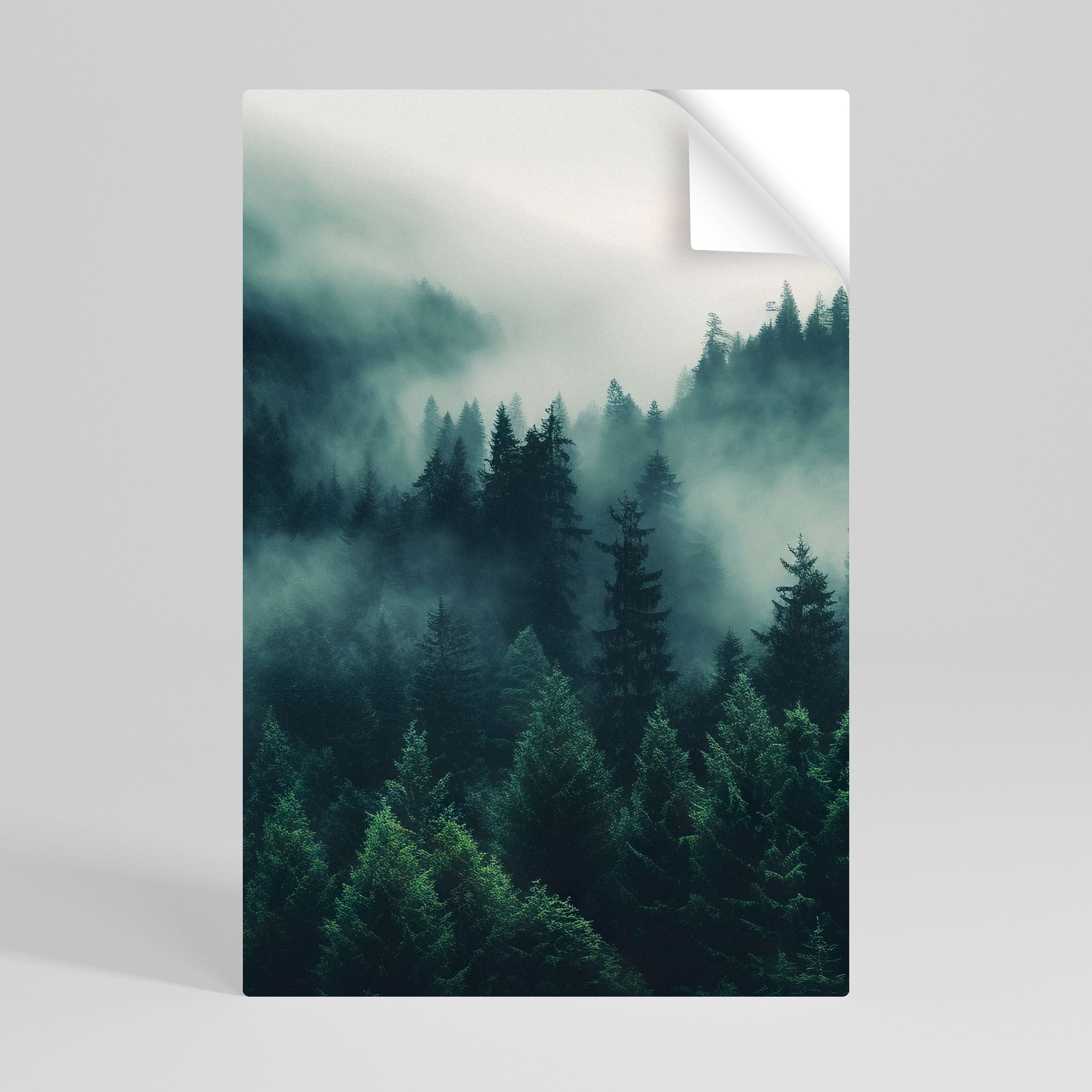 MYSTICAL FOREST WHISPERS Naklejka/Plakat pionowy