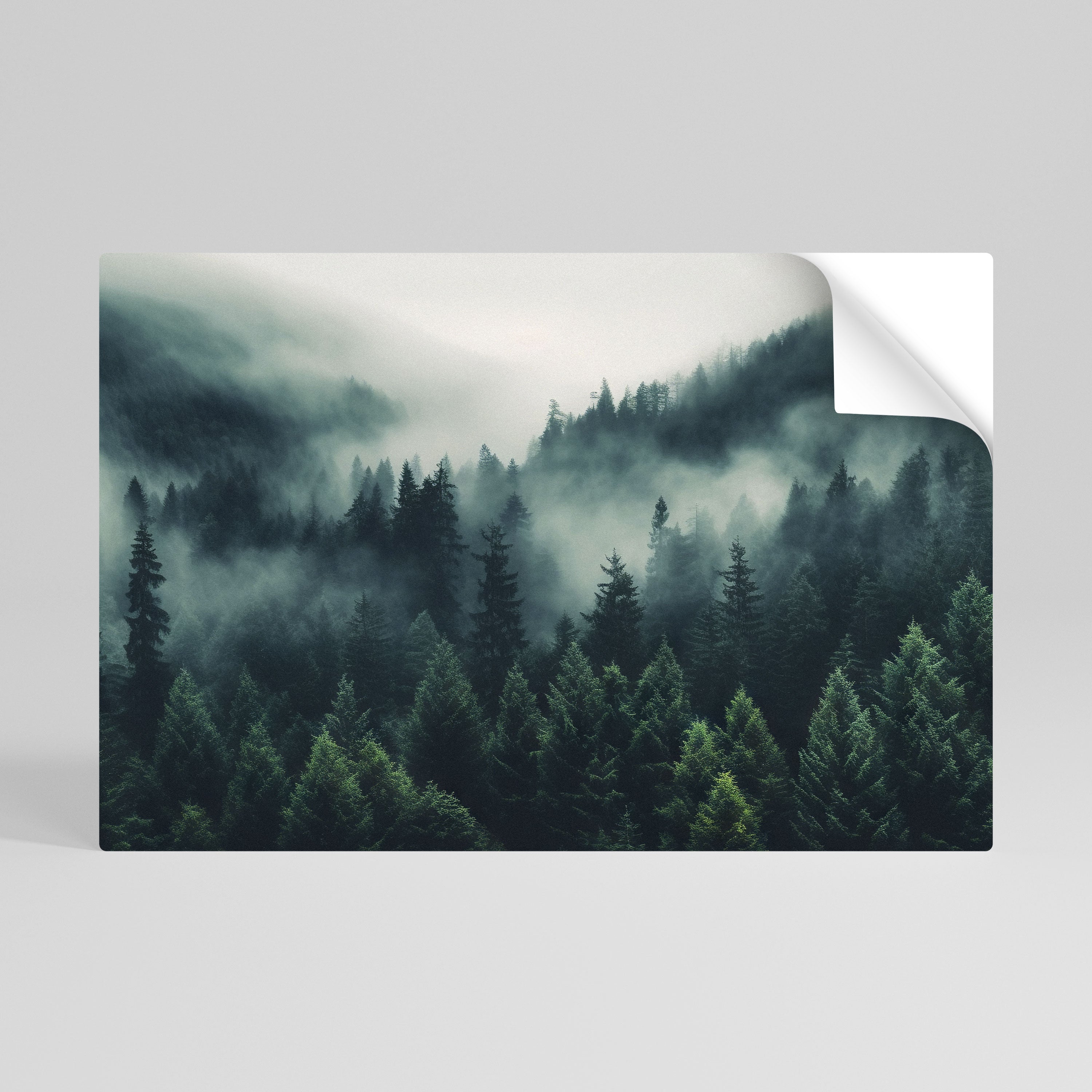 MYSTICAL FOREST WHISPERS Naklejka/Plakat poziomy