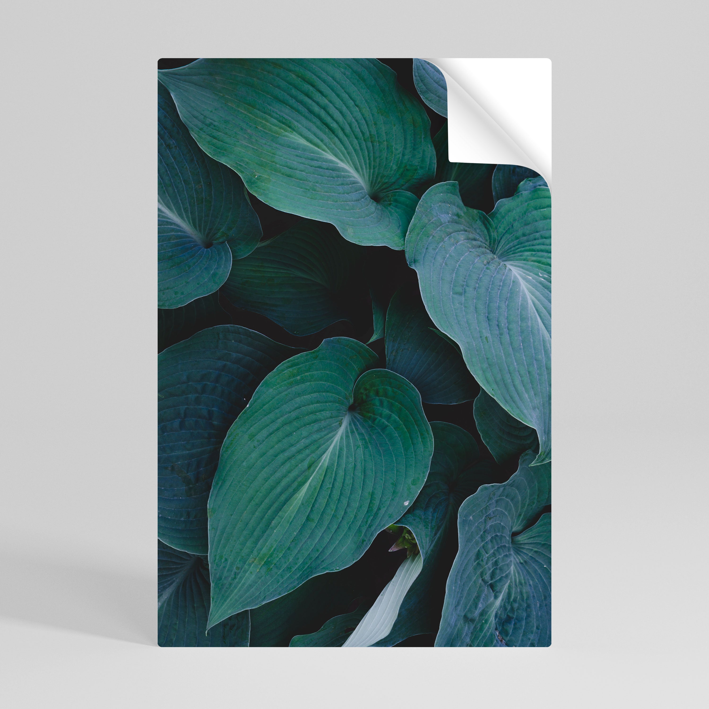 ENCHANTED FOLIAGE DANCE Naklejka/Plakat pionowy
