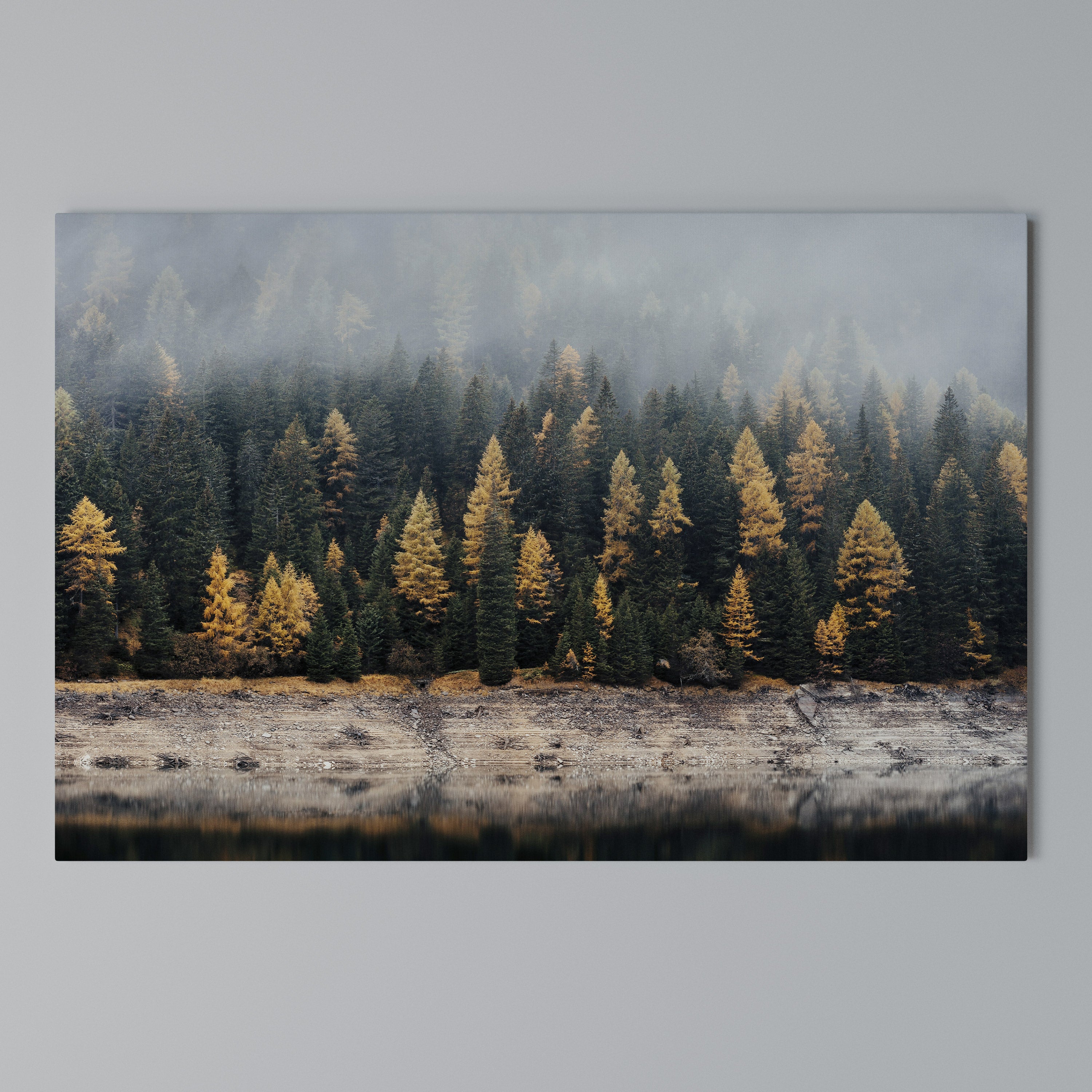 GOLDEN TREES IN FOG Poziomy obraz na płótnie