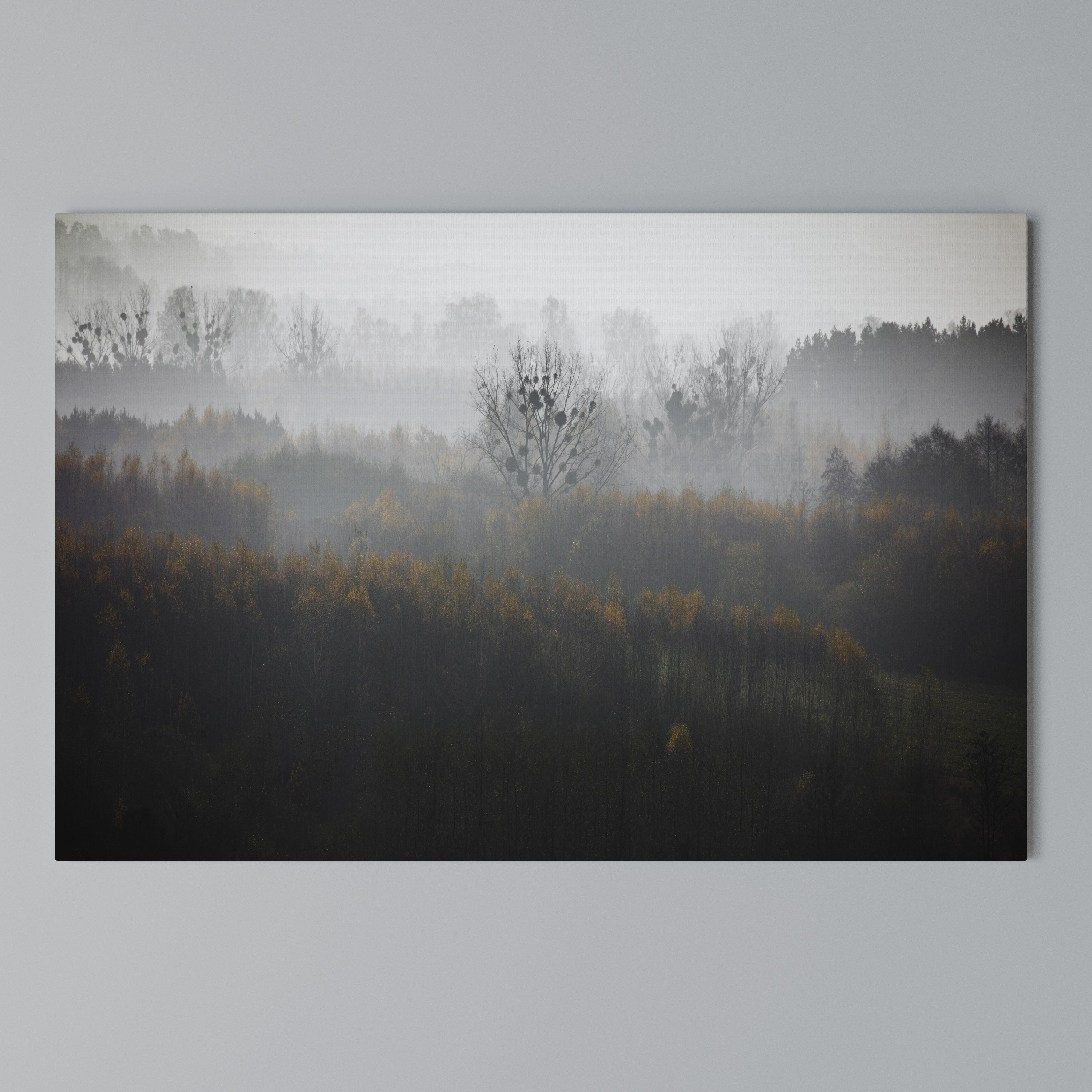AUTUMNAL HAZE Poziomy obraz na płótnie