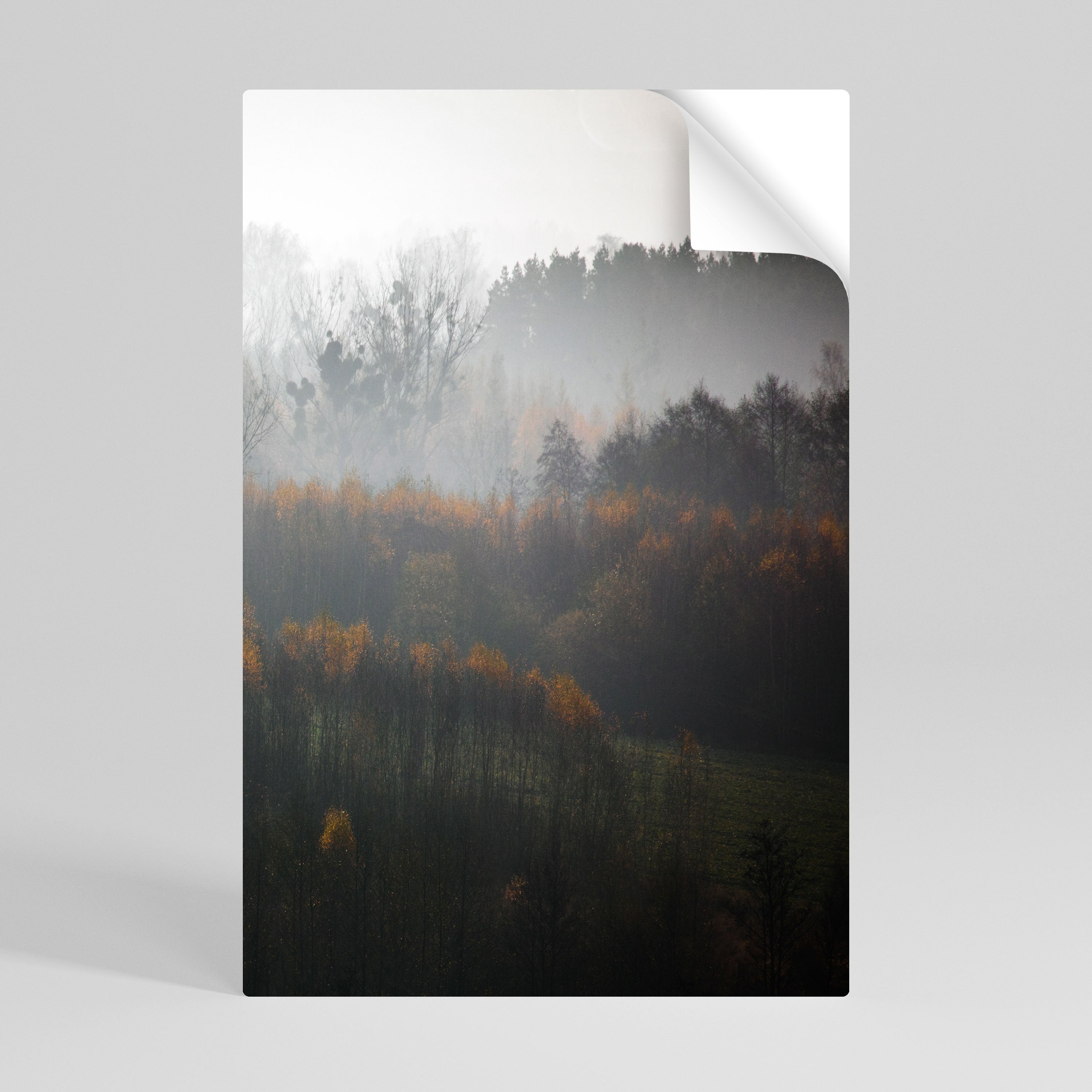 AUTUMNAL HAZE Naklejka/Plakat pionowy