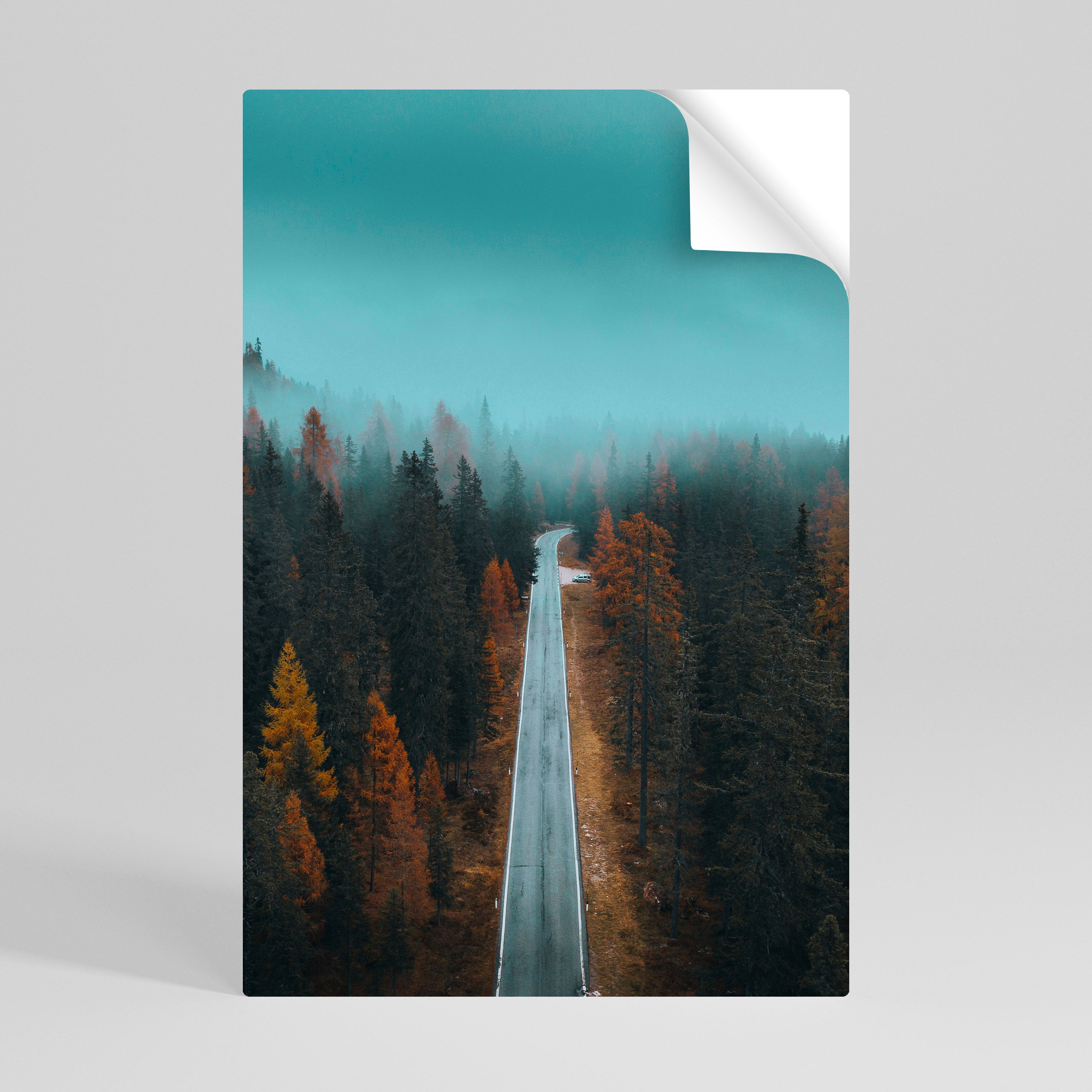 SERENE ROADWAY ESCAPE Naklejka/Plakat pionowy