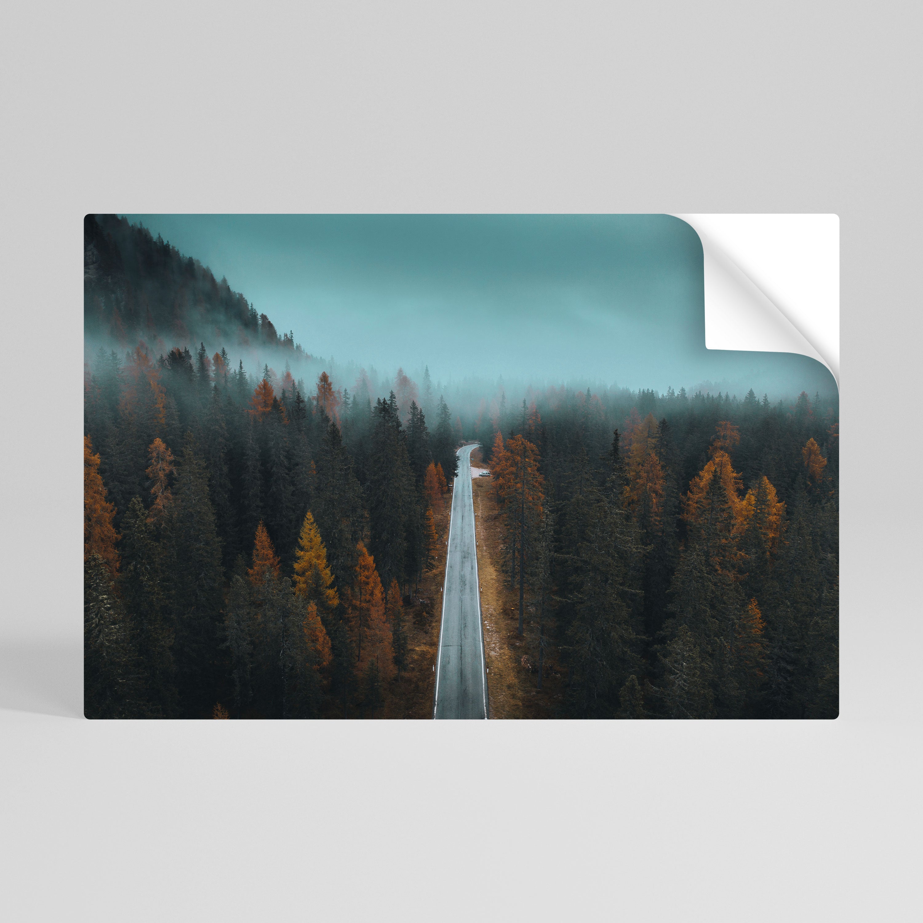 SERENE ROADWAY ESCAPE Naklejka/Plakat poziomy