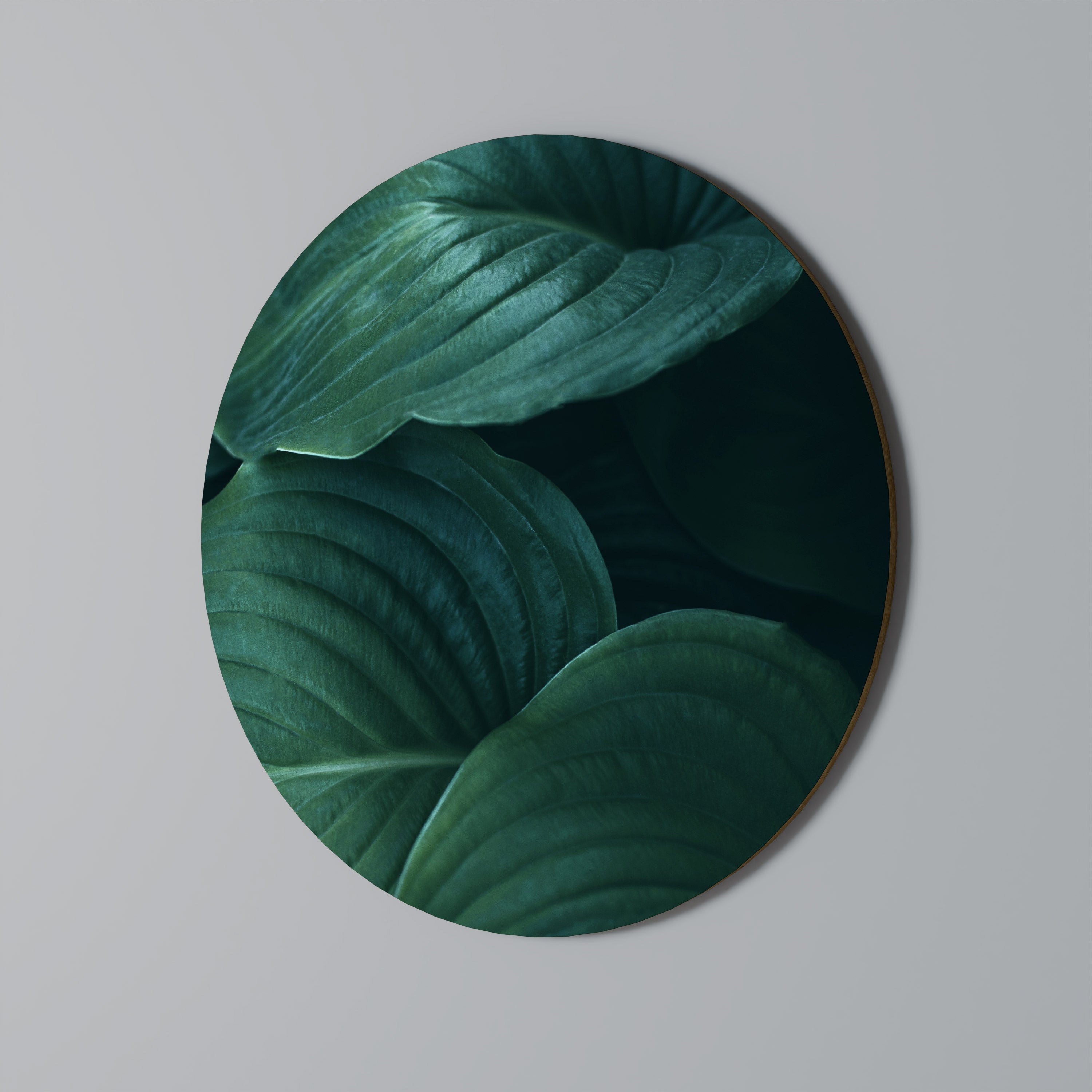SUBTLE BOTANICAL HUES Obraz okrągły