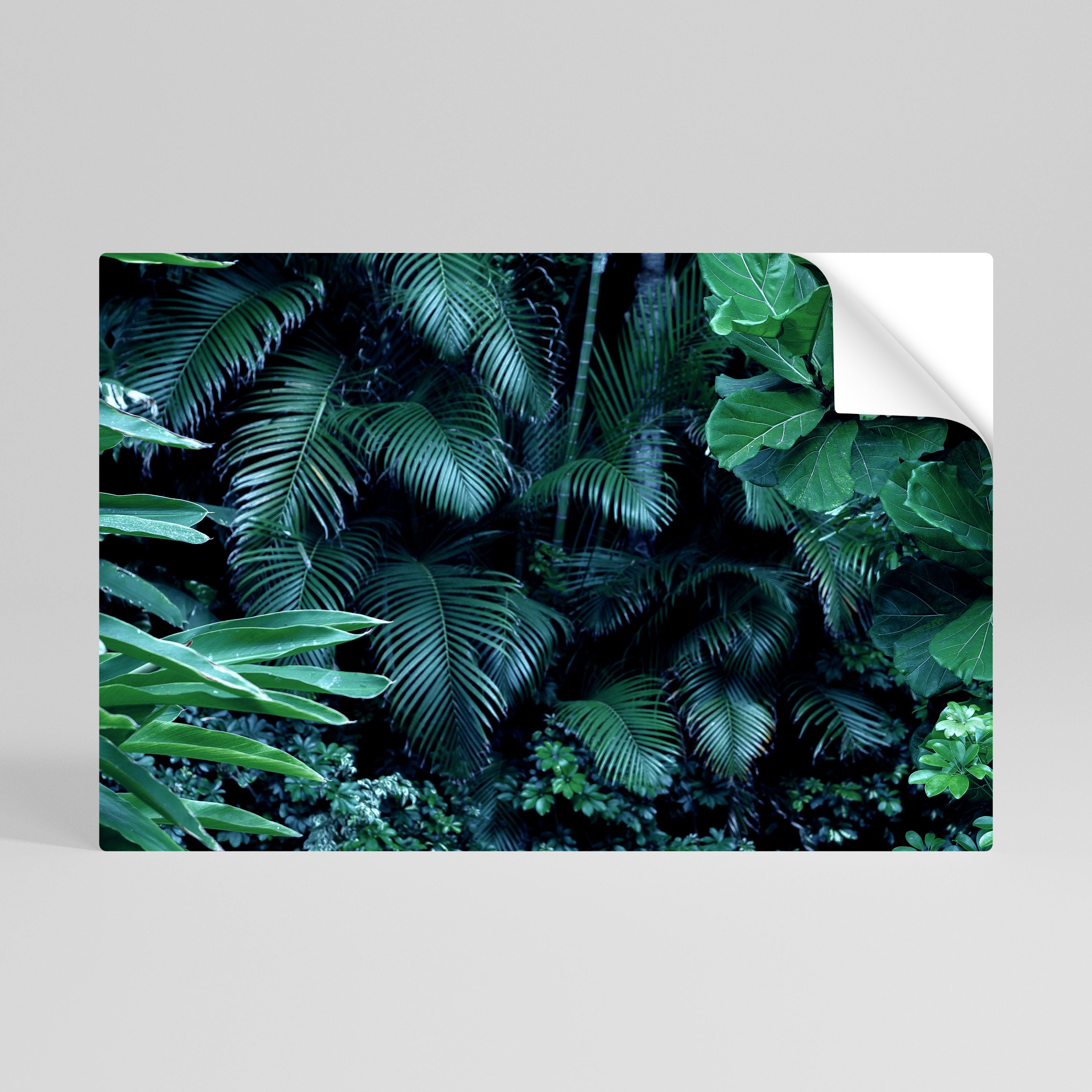 DEEP JUNGLE SERENADE Naklejka/Plakat poziomy