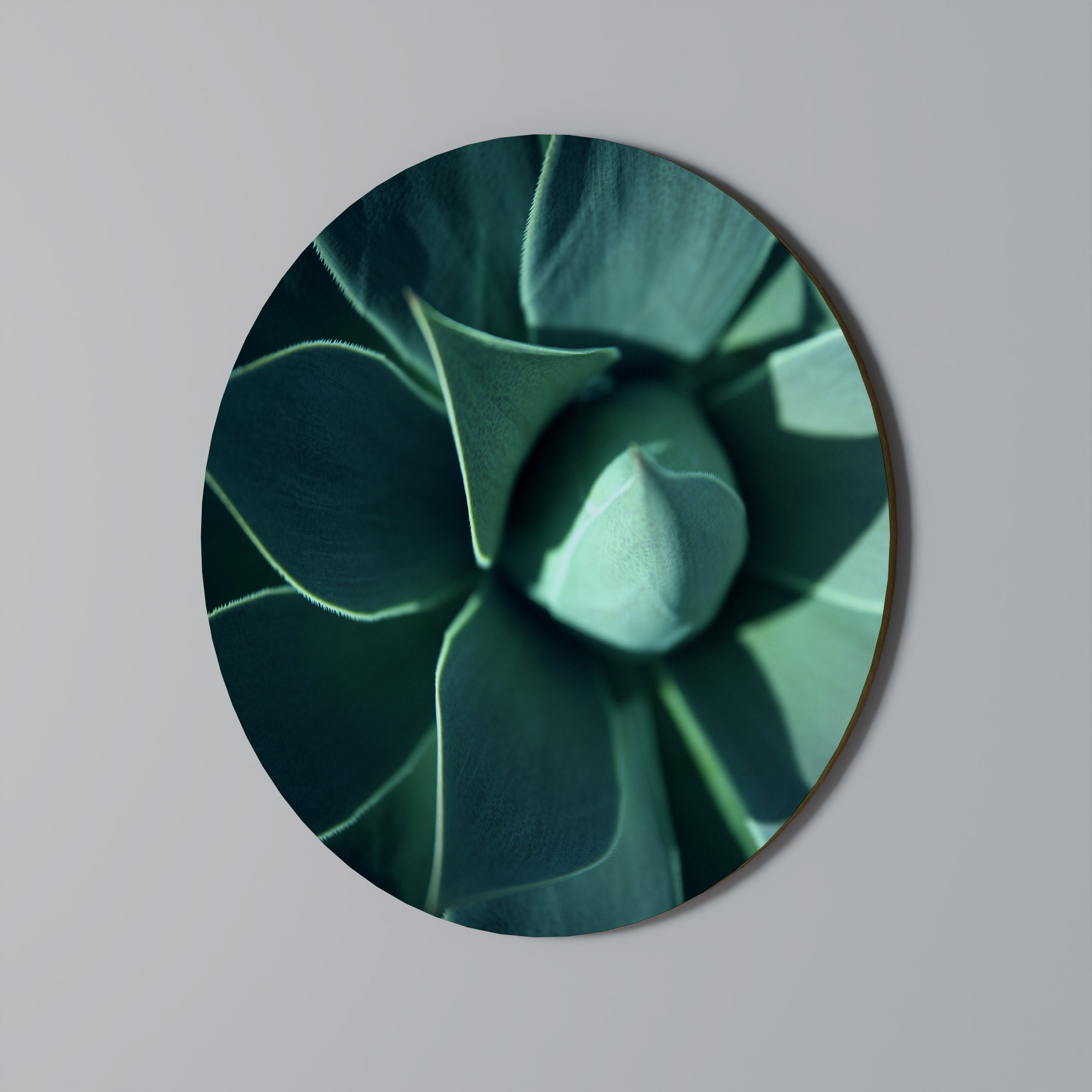 MYSTICAL GREEN WHORL Obraz okrągły
