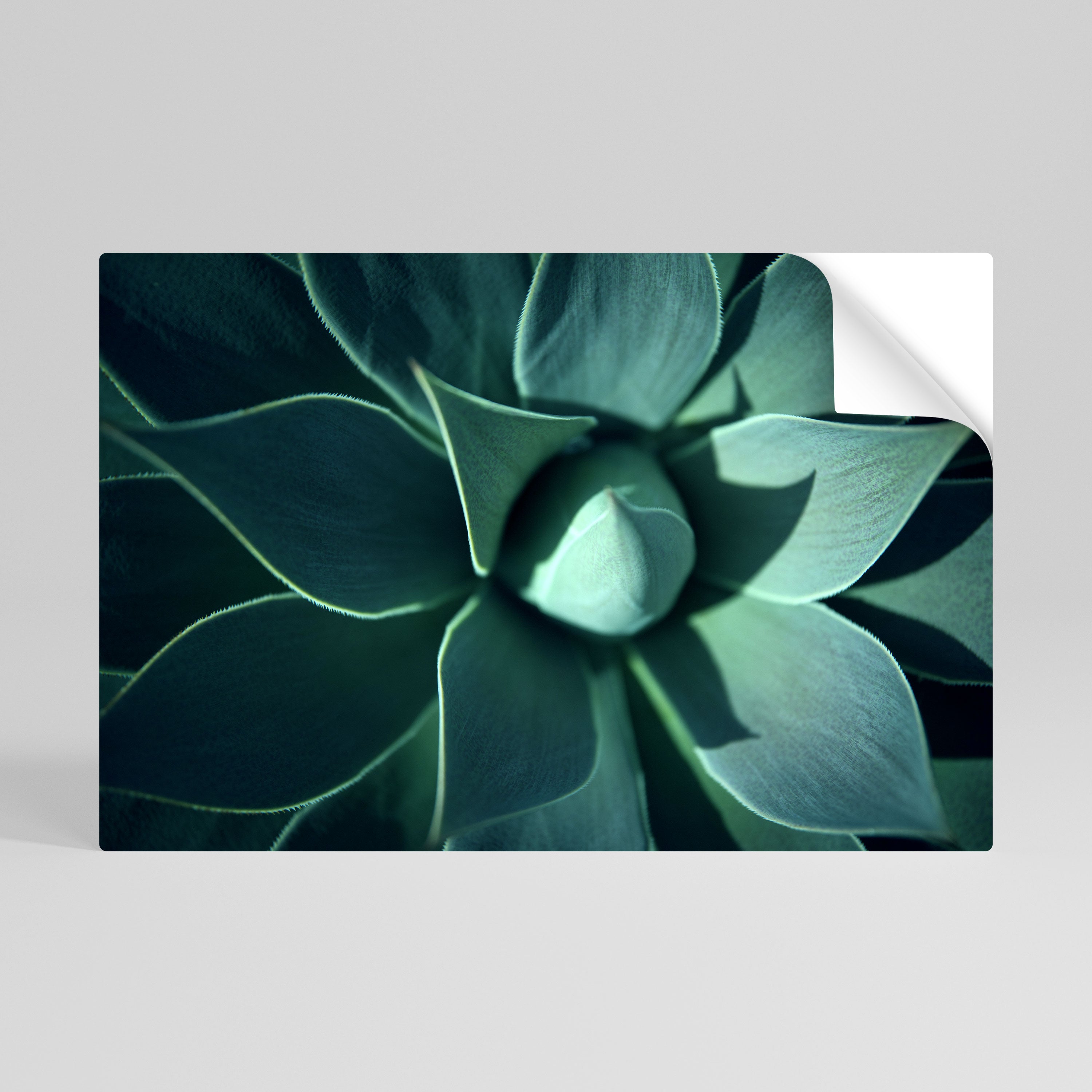 MYSTICAL GREEN WHORL Naklejka/Plakat poziomy