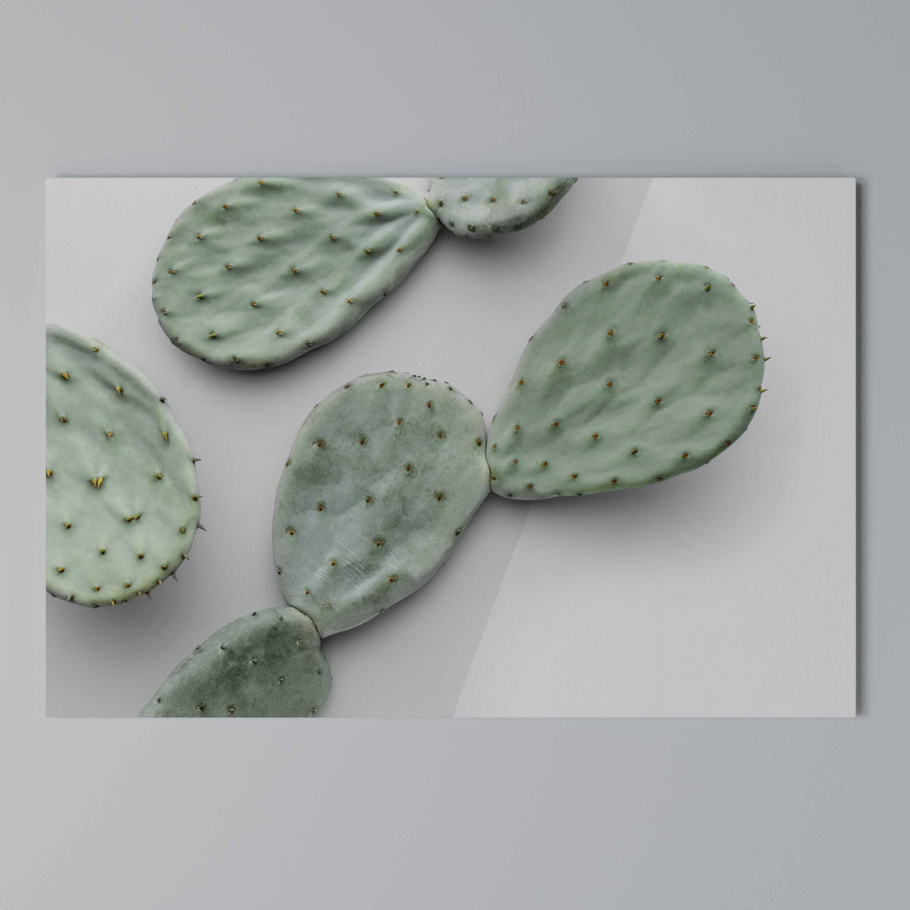 CACTUS DREAMSCAPE Poziomy obraz na płótnie