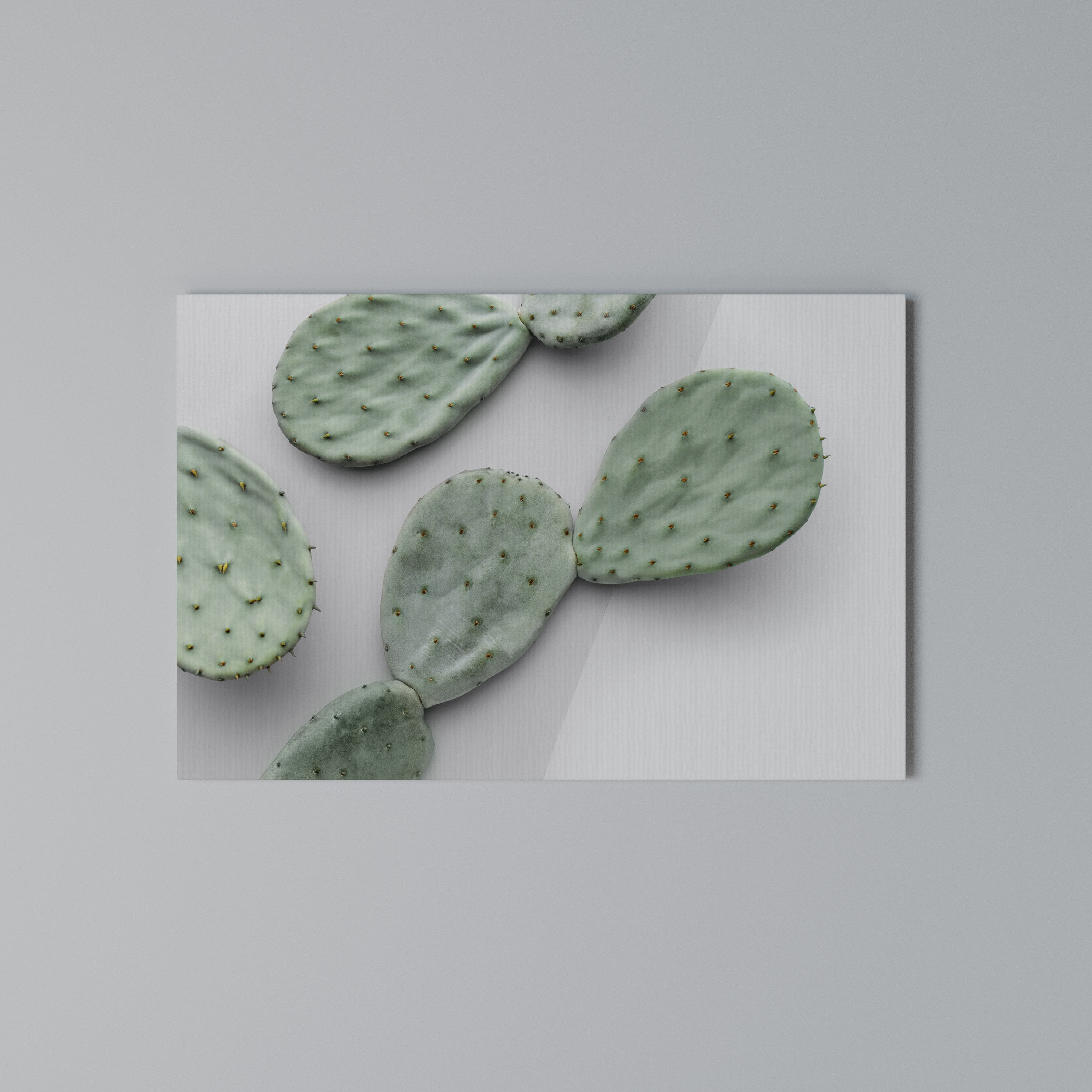 CACTUS DREAMSCAPE Poziomy obraz na płótnie