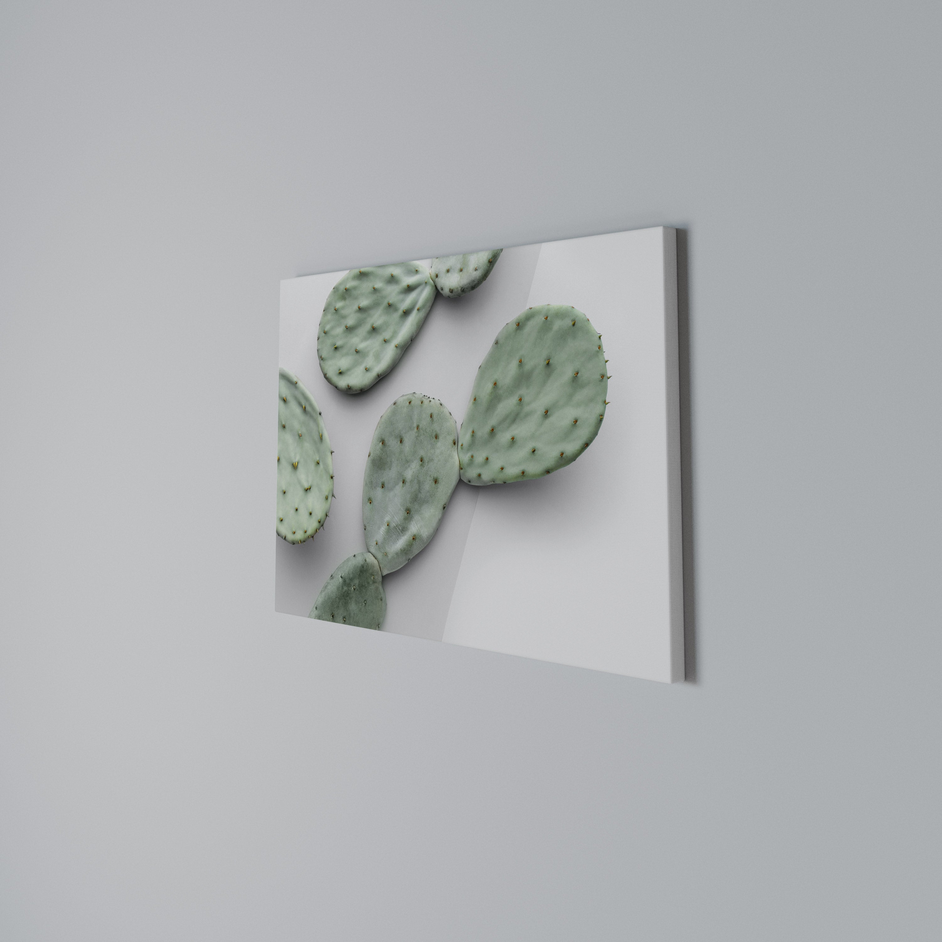 CACTUS DREAMSCAPE Poziomy obraz na płótnie