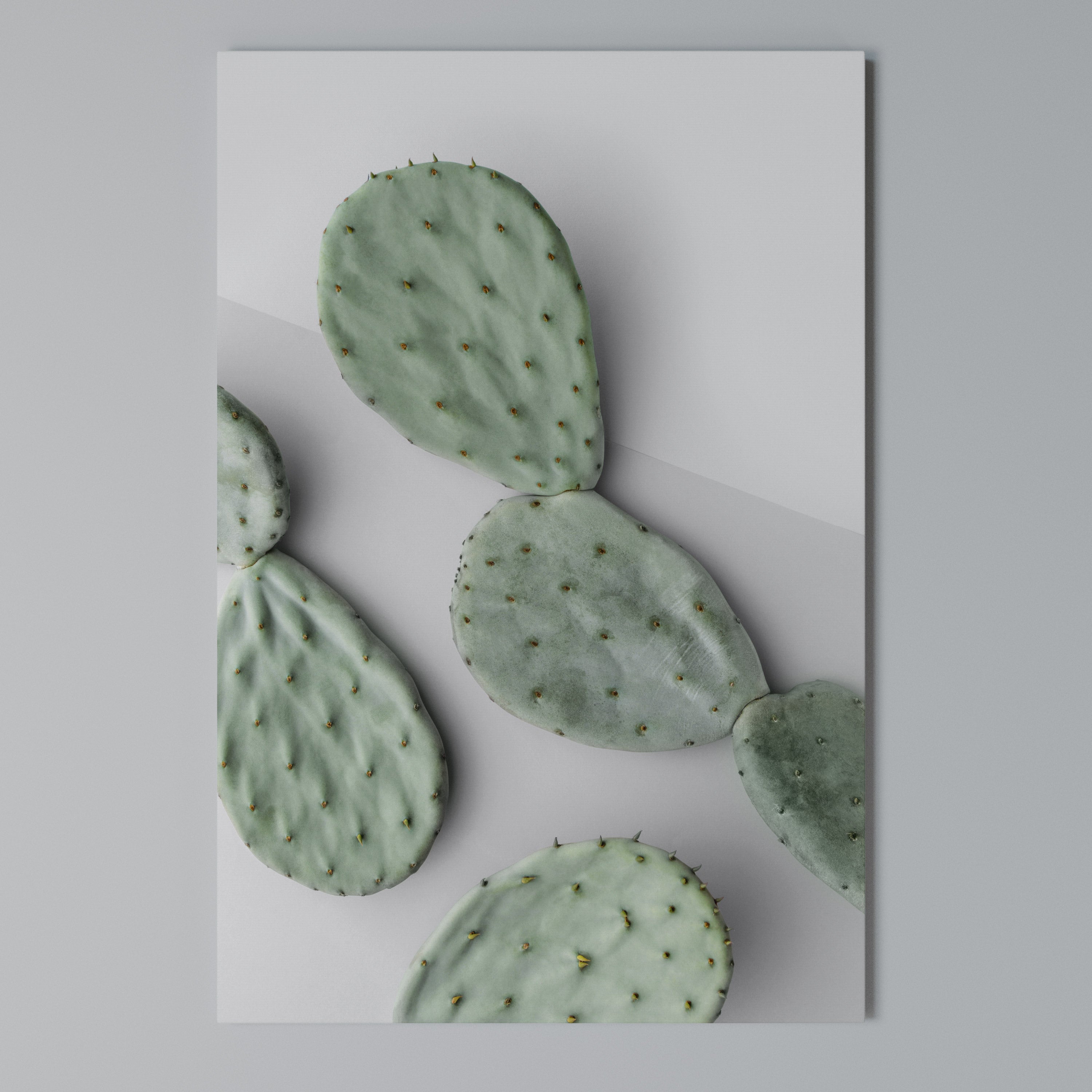 CACTUS DREAMSCAPE Pionowy obraz na płótnie