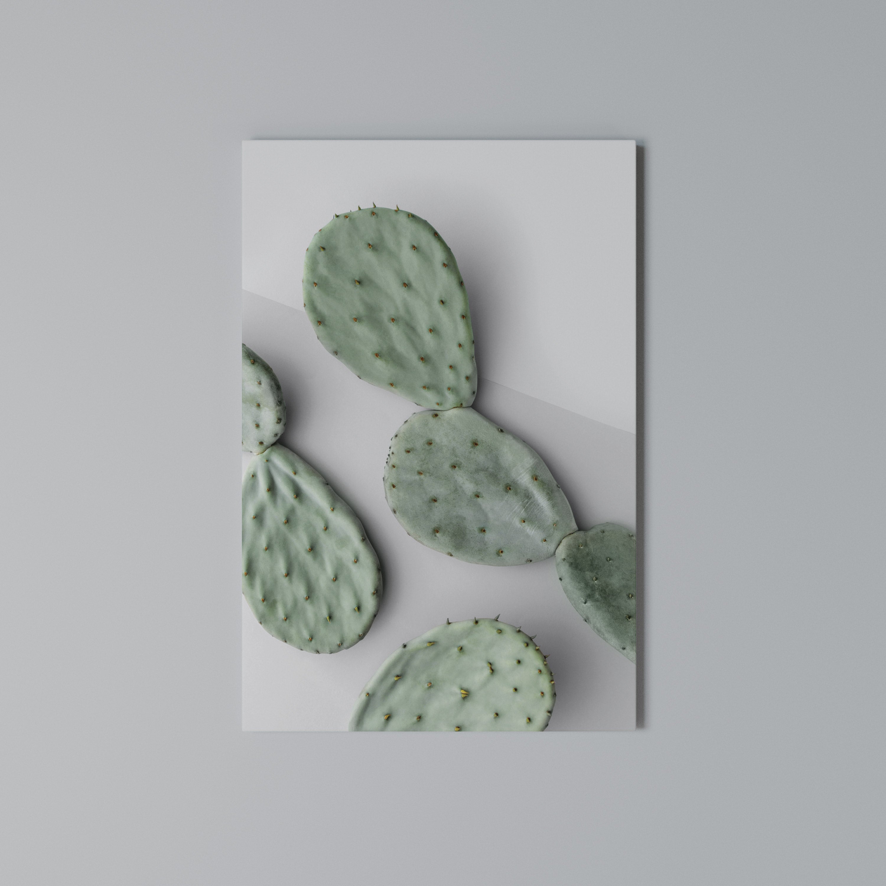 CACTUS DREAMSCAPE Pionowy obraz na płótnie