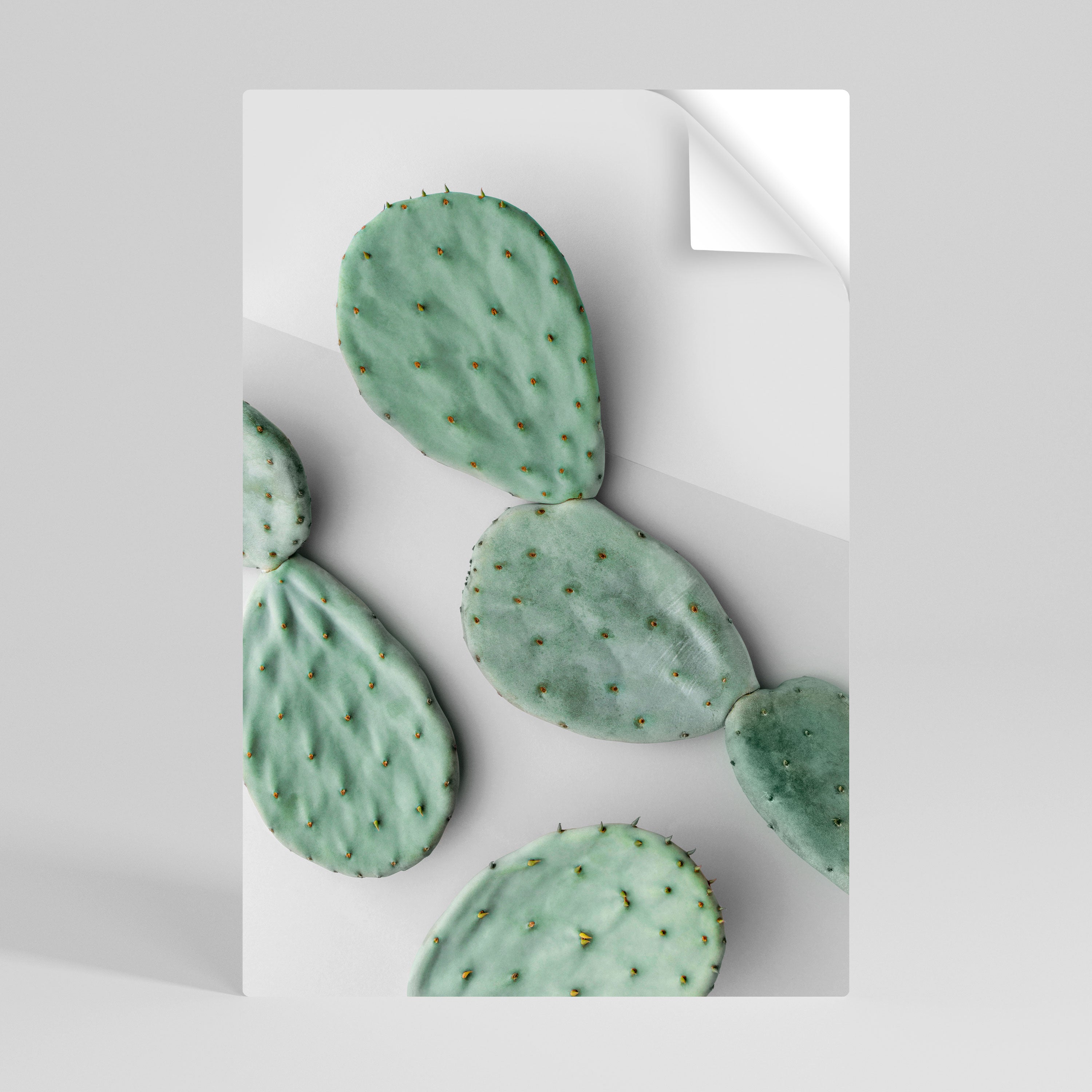 CACTUS DREAMSCAPE Naklejka/Plakat pionowy